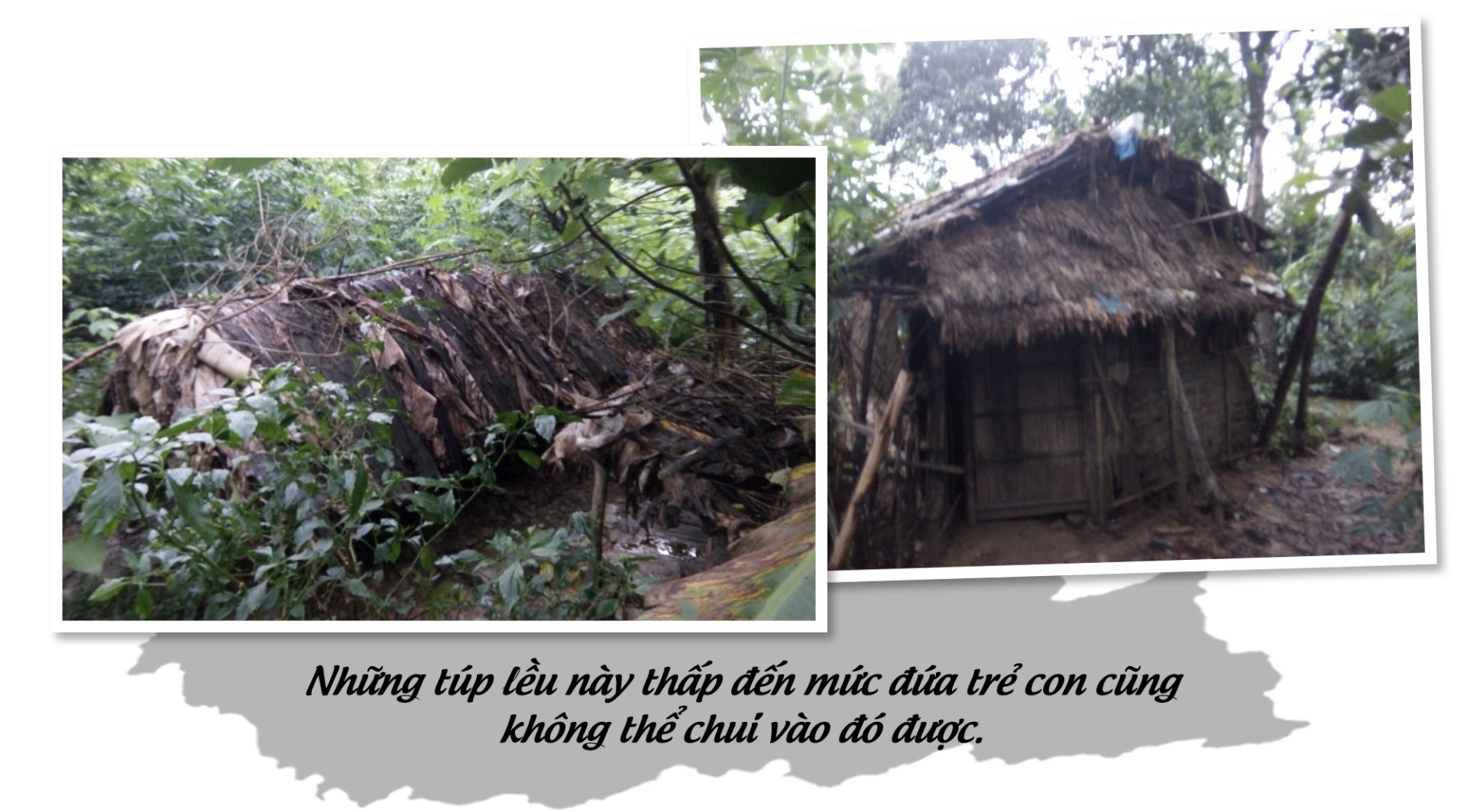 Thế hệ thứ hai gia đình 'âm binh' ở Thanh Hóa thay đổi ra sao? - 6