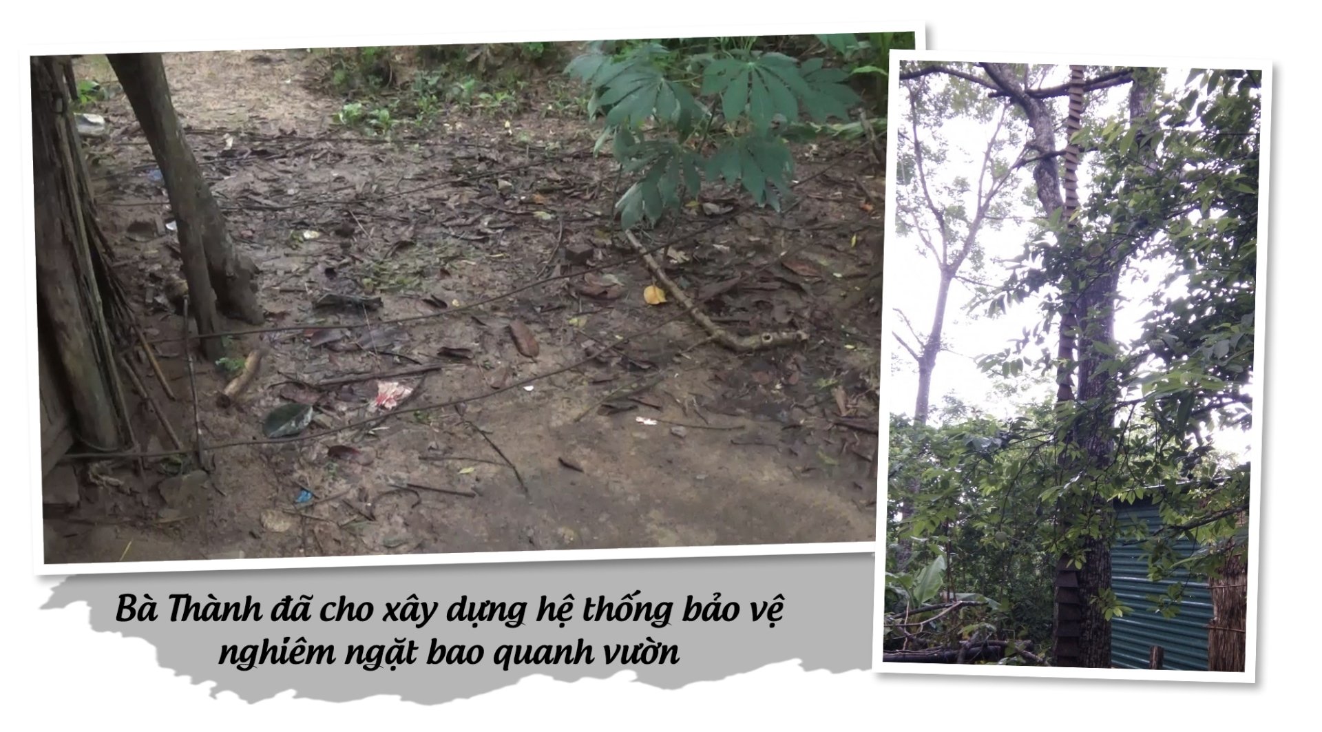 Thế hệ thứ hai gia đình 'âm binh' ở Thanh Hóa thay đổi ra sao? - 2