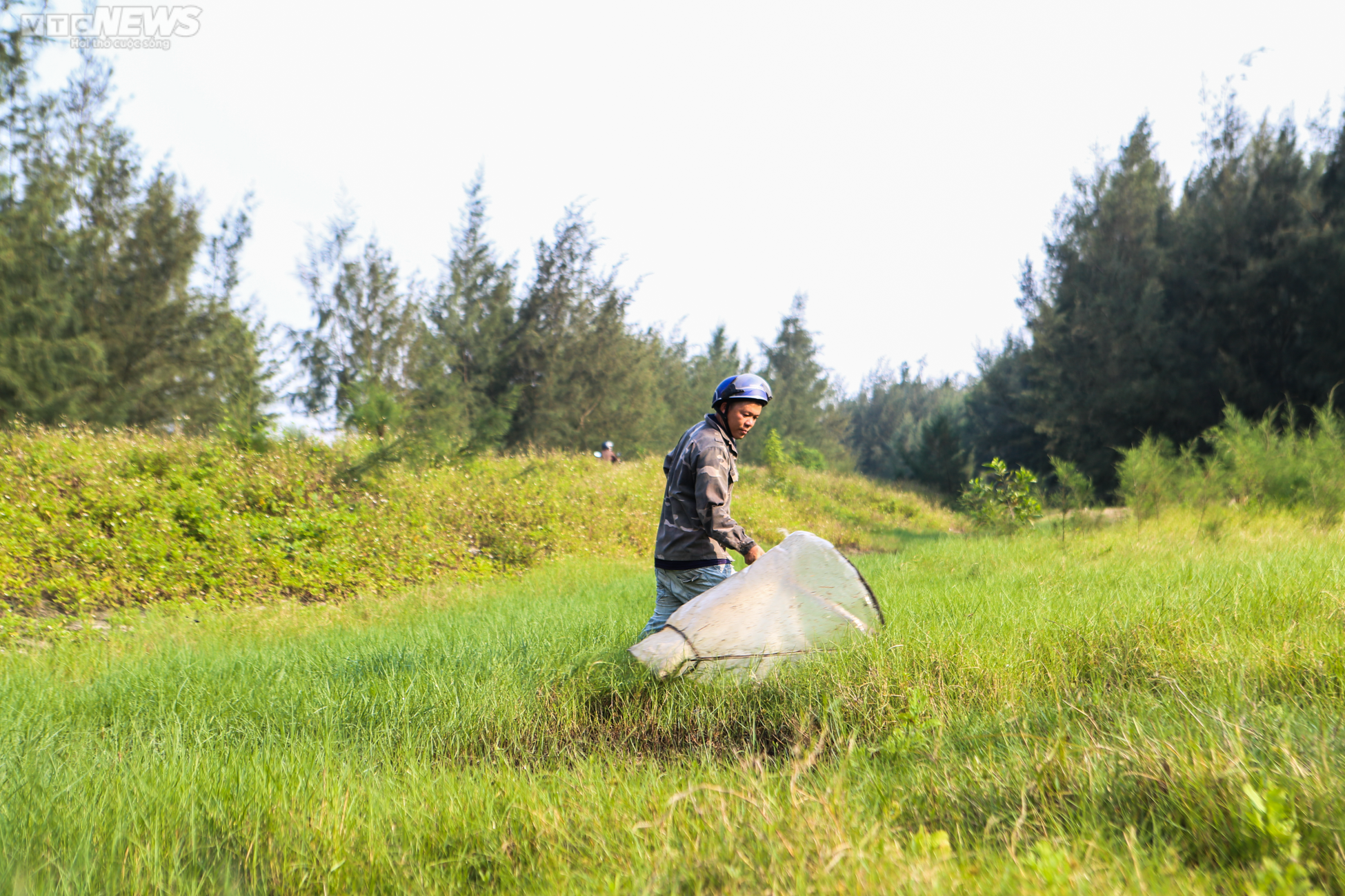Hai vợ chồng săn 'tôm bay' trên đồng, kiếm tiền triệu mỗi ngày - 3