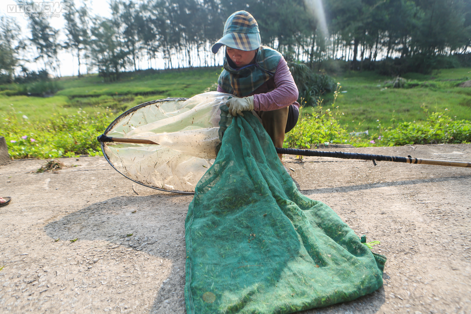 Hai vợ chồng săn 'tôm bay' trên đồng, kiếm tiền triệu mỗi ngày - 11
