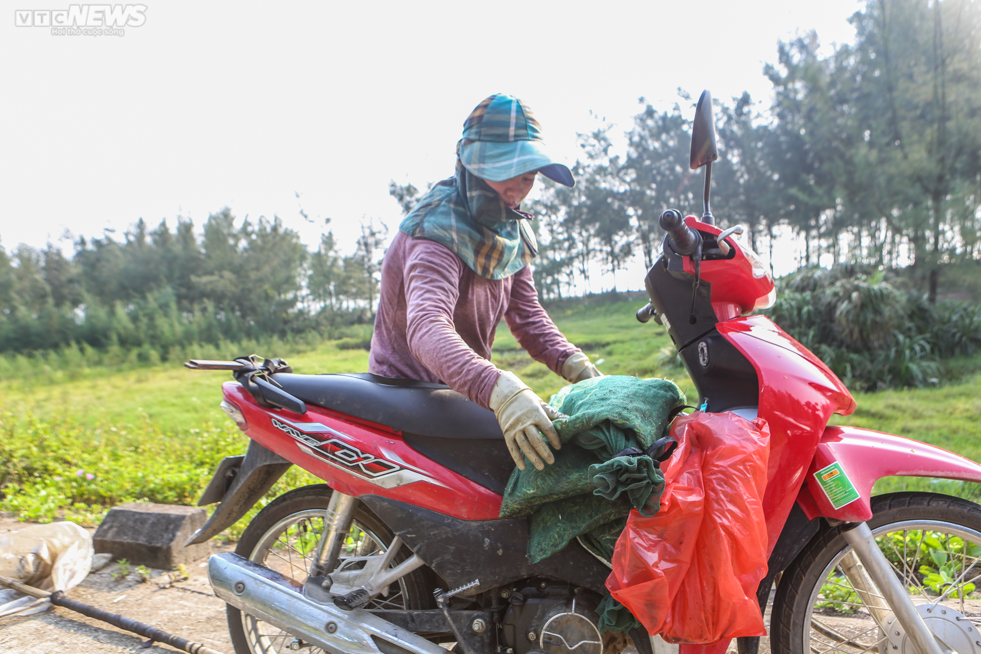 Hai vợ chồng săn 'tôm bay' trên đồng, kiếm tiền triệu mỗi ngày - 14