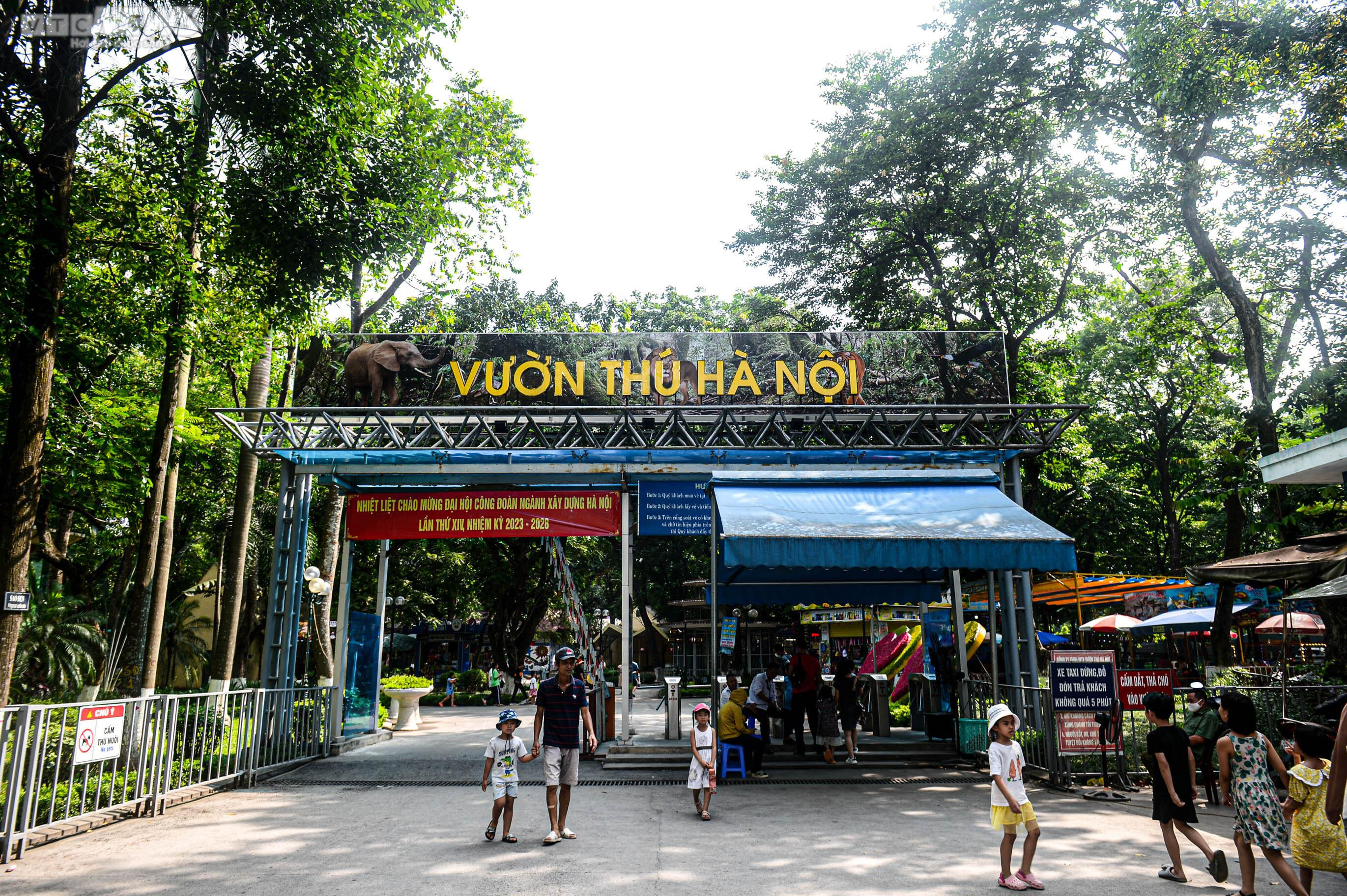 Mặc nắng nóng, phụ huynh tấp nập đưa con đến vườn thú vui chơi dịp 1/6 - 1