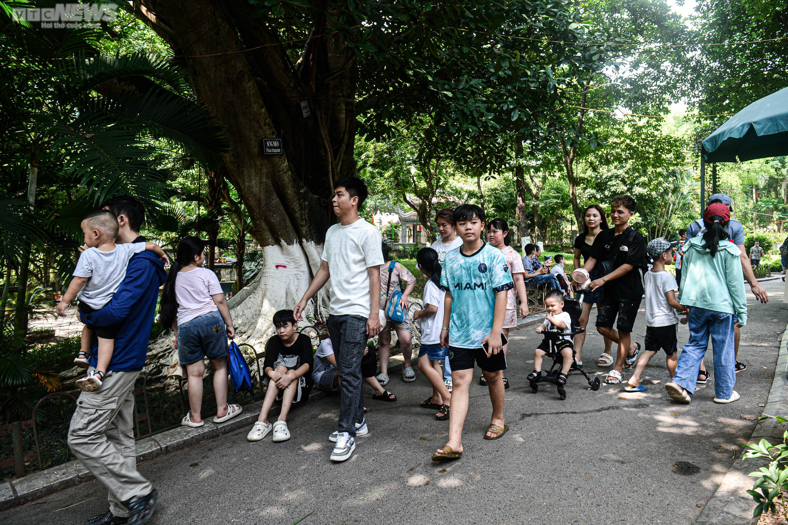 Mặc nắng nóng, phụ huynh tấp nập đưa con đến vườn thú vui chơi dịp 1/6 - 19
