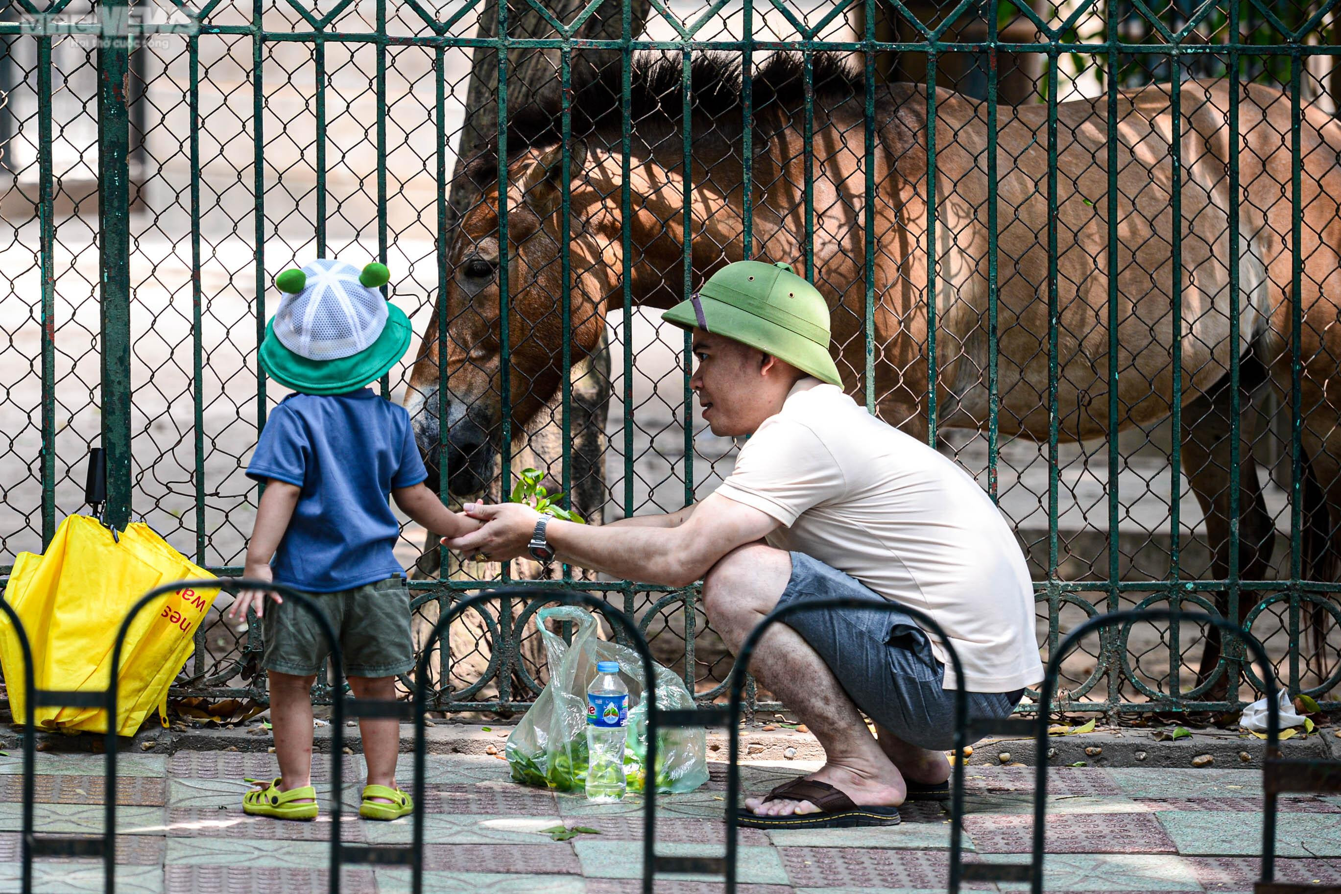 Mặc nắng nóng, phụ huynh tấp nập đưa con đến vườn thú vui chơi dịp 1/6 - 13