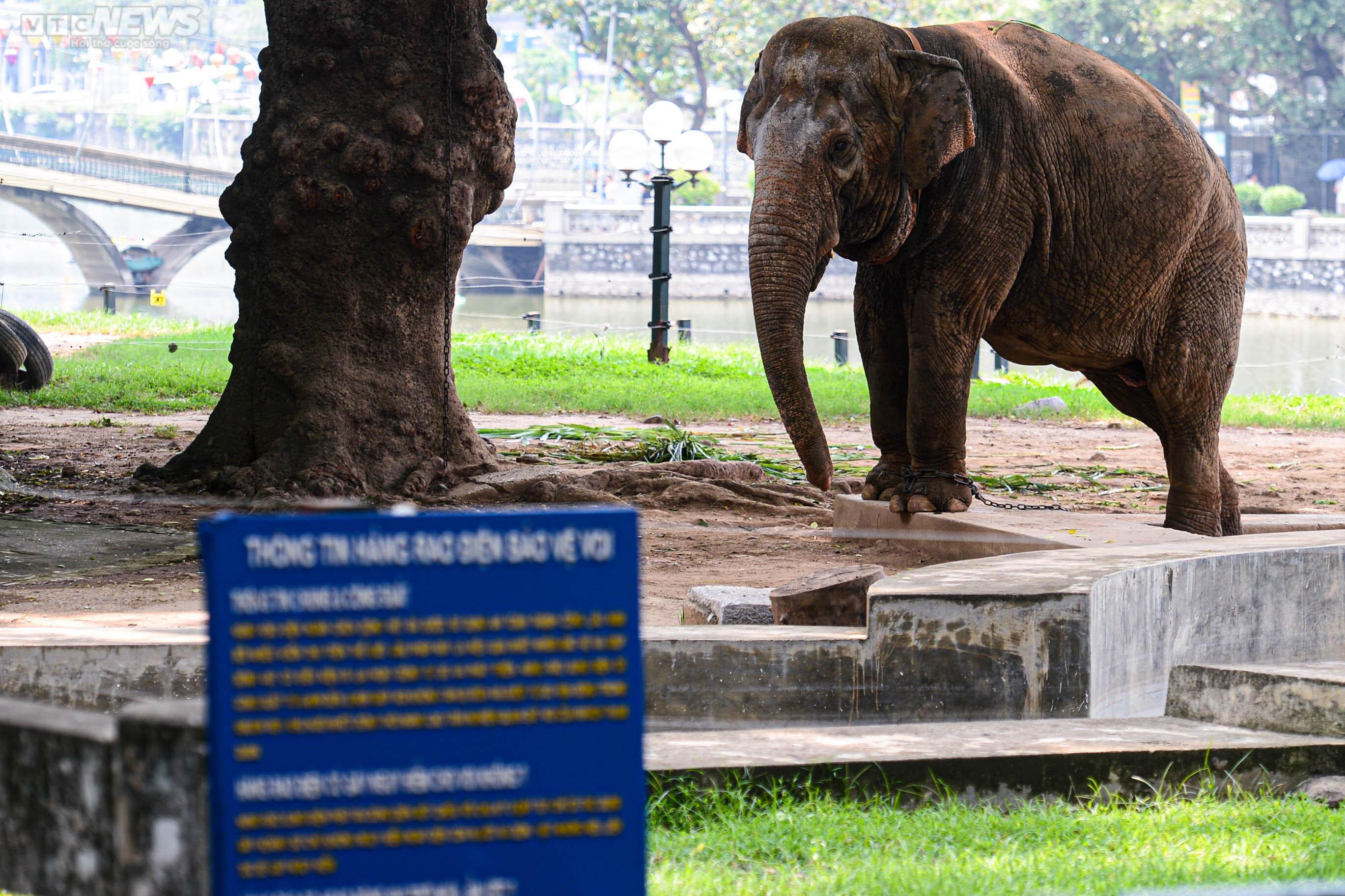 Mặc nắng nóng, phụ huynh tấp nập đưa con đến vườn thú vui chơi dịp 1/6 - 10