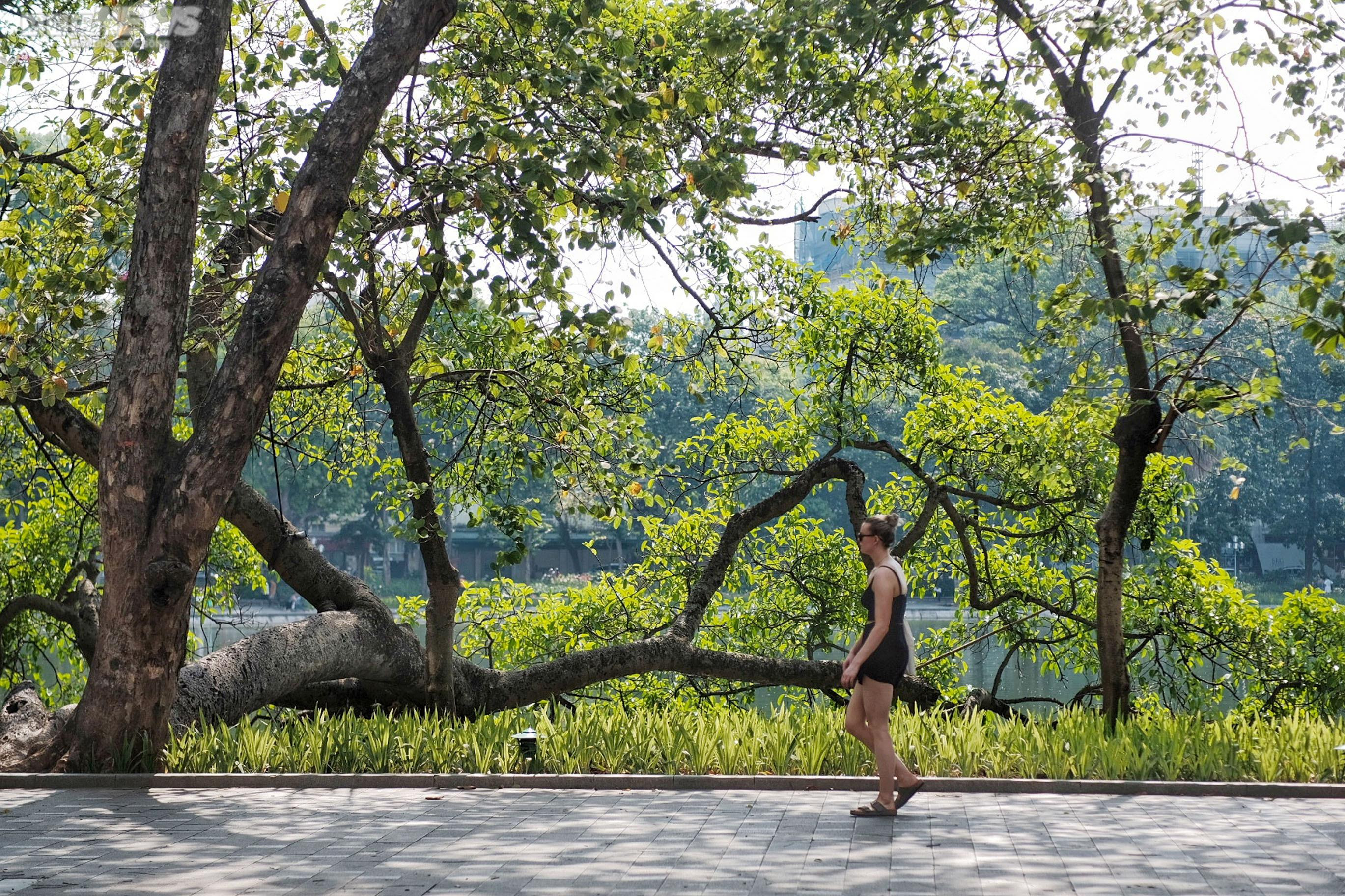 Hà Nội nắng như đổ lửa, phố đi bộ Hồ Gươm cuối tuần vắng hoe - 10