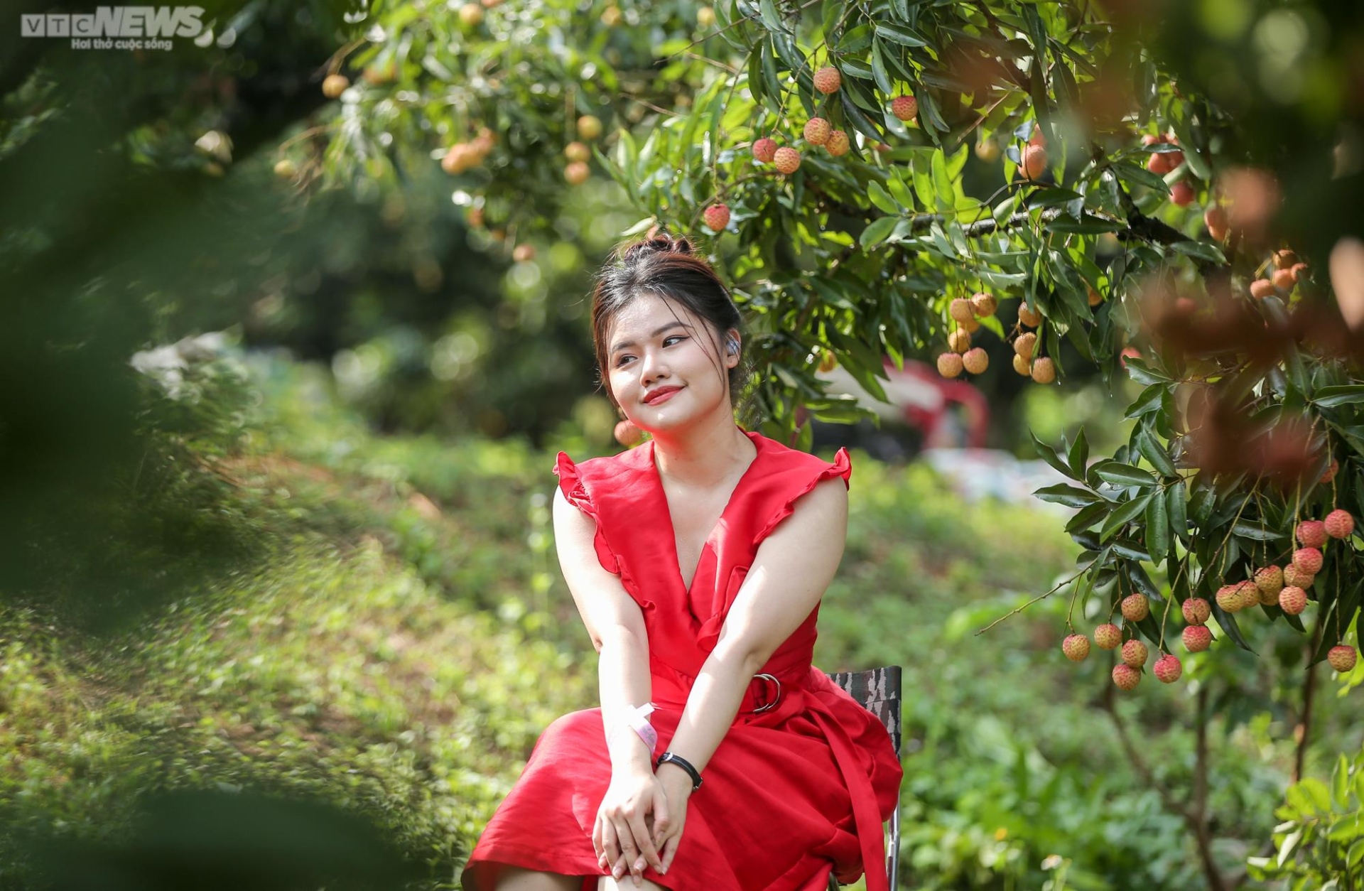 Độc đáo show thời trang chủ đề tôn vinh vải thiều Bắc Giang - 4