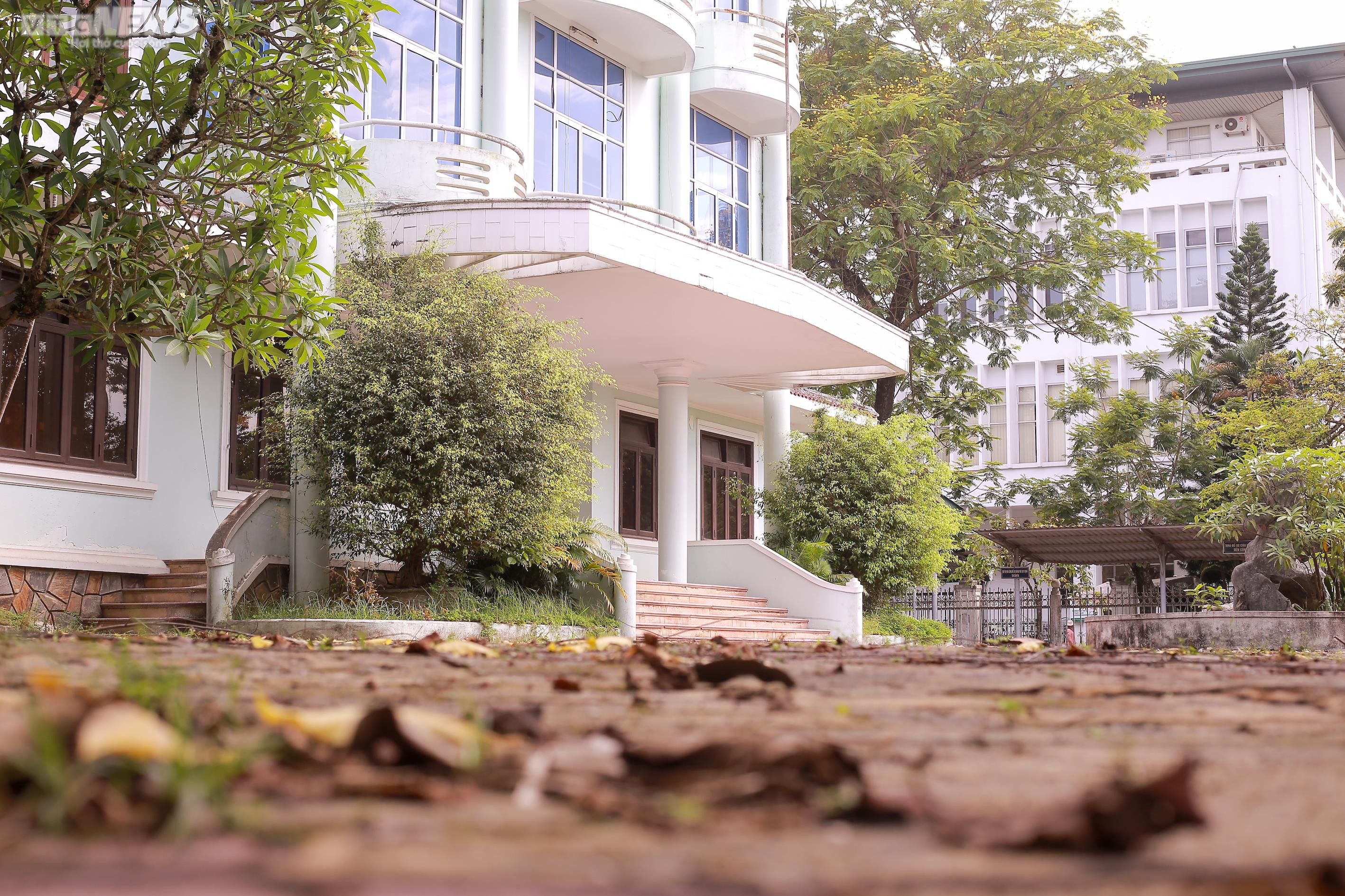 Cận cảnh loạt nhà công sản bỏ hoang trên khu đất vàng trung tâm TP Huế - 8