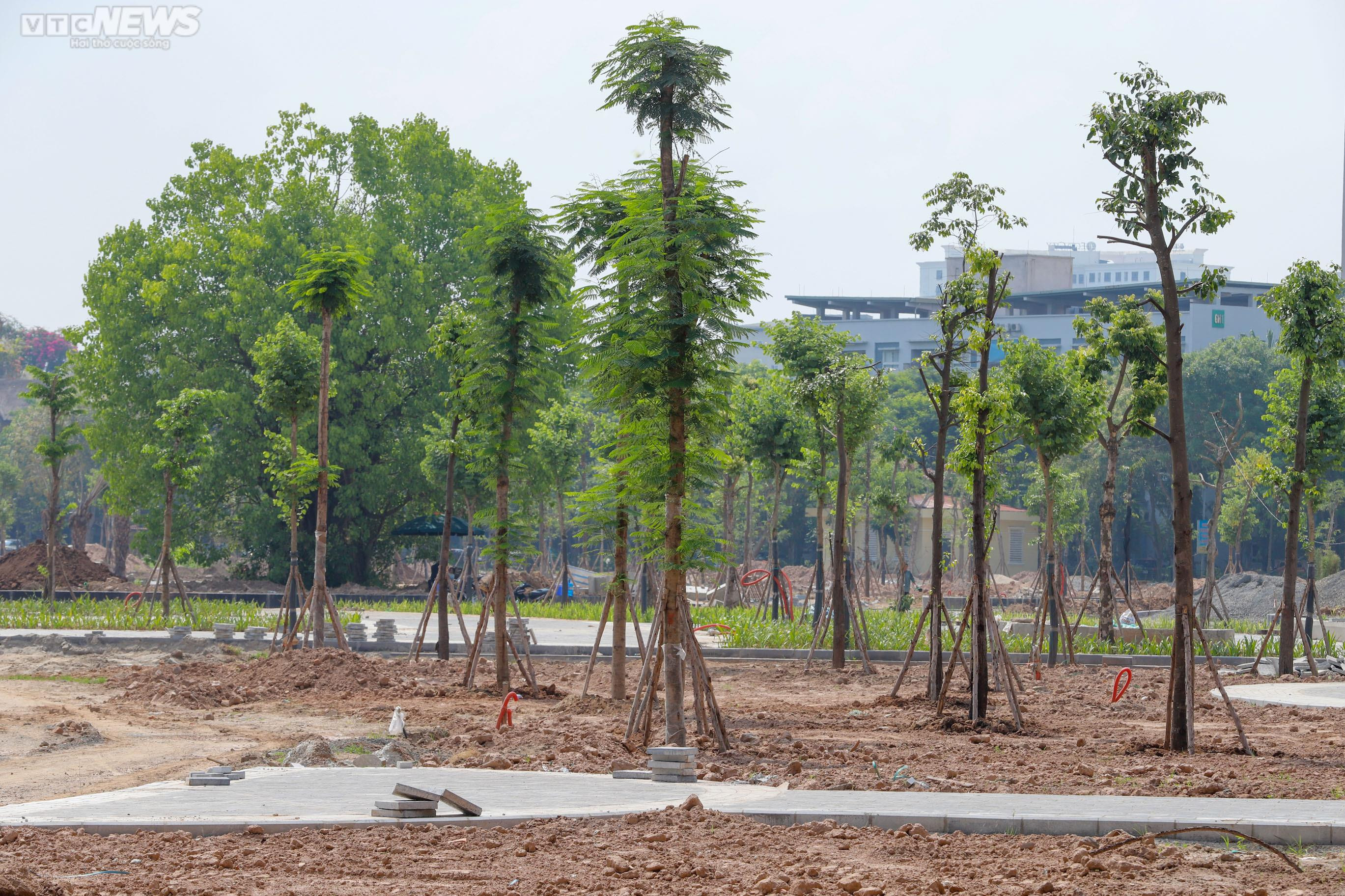 Đầu tư hơn 90 tỷ đồng hồi sinh công viên 15 ha sau nhiều năm bỏ hoang ở Hà Nội - 8