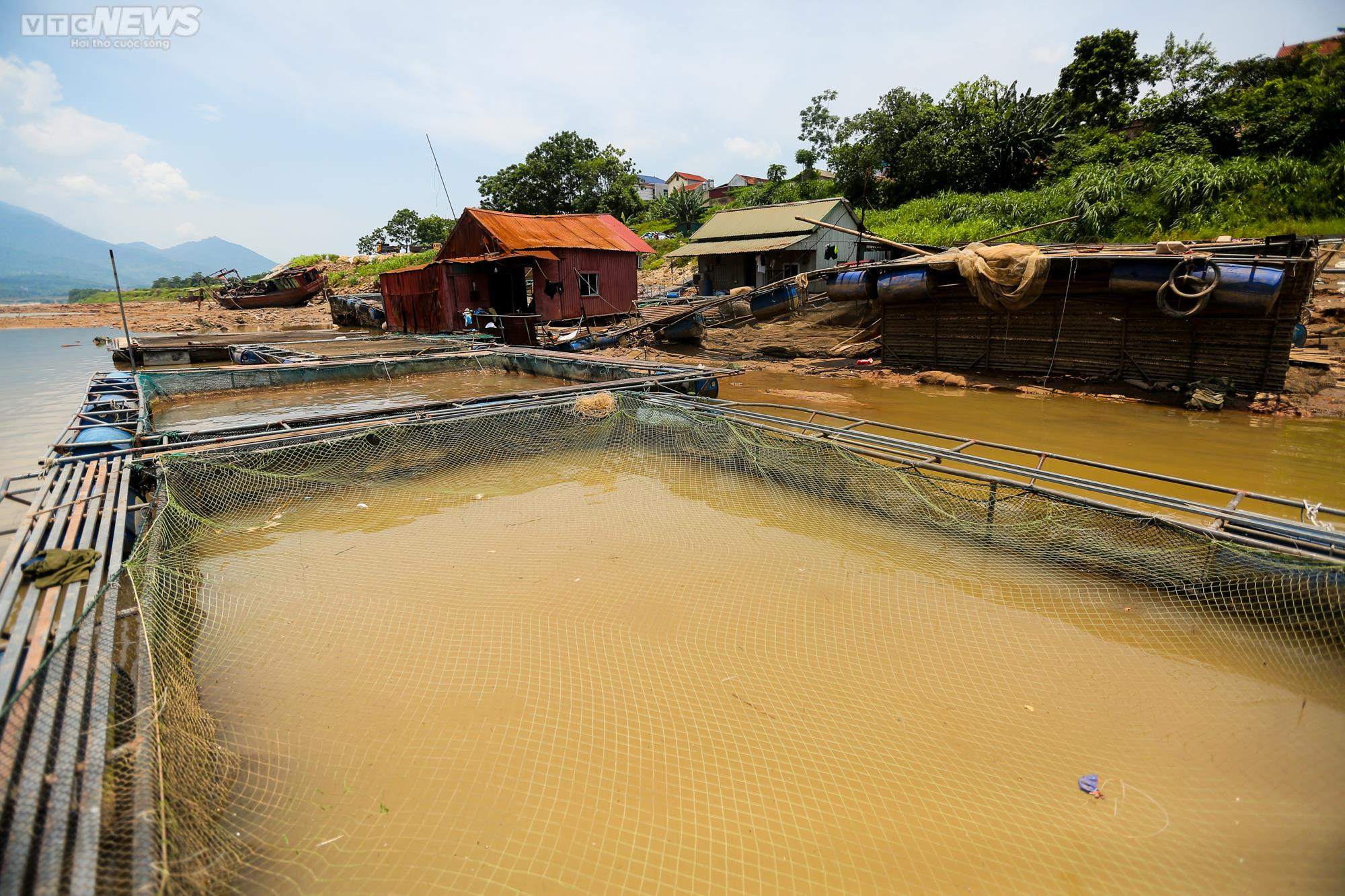 Sông Đà cạn trơ đáy: Người dân bất lực nhìn cá, hoa màu chết khô - 11