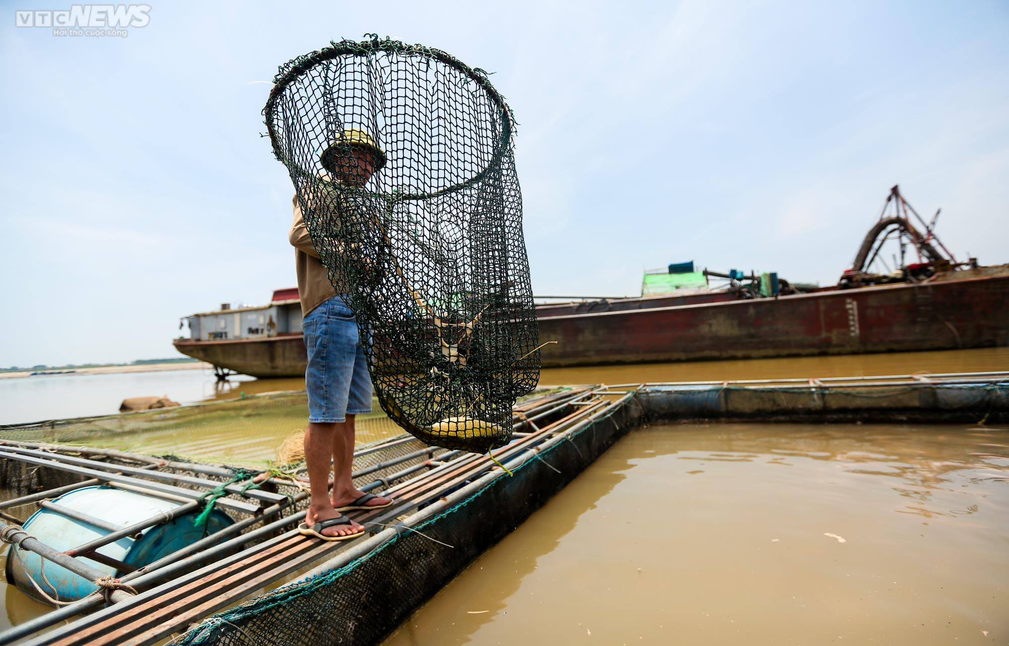 Sông Đà cạn trơ đáy: Người dân bất lực nhìn cá, hoa màu chết khô - 13