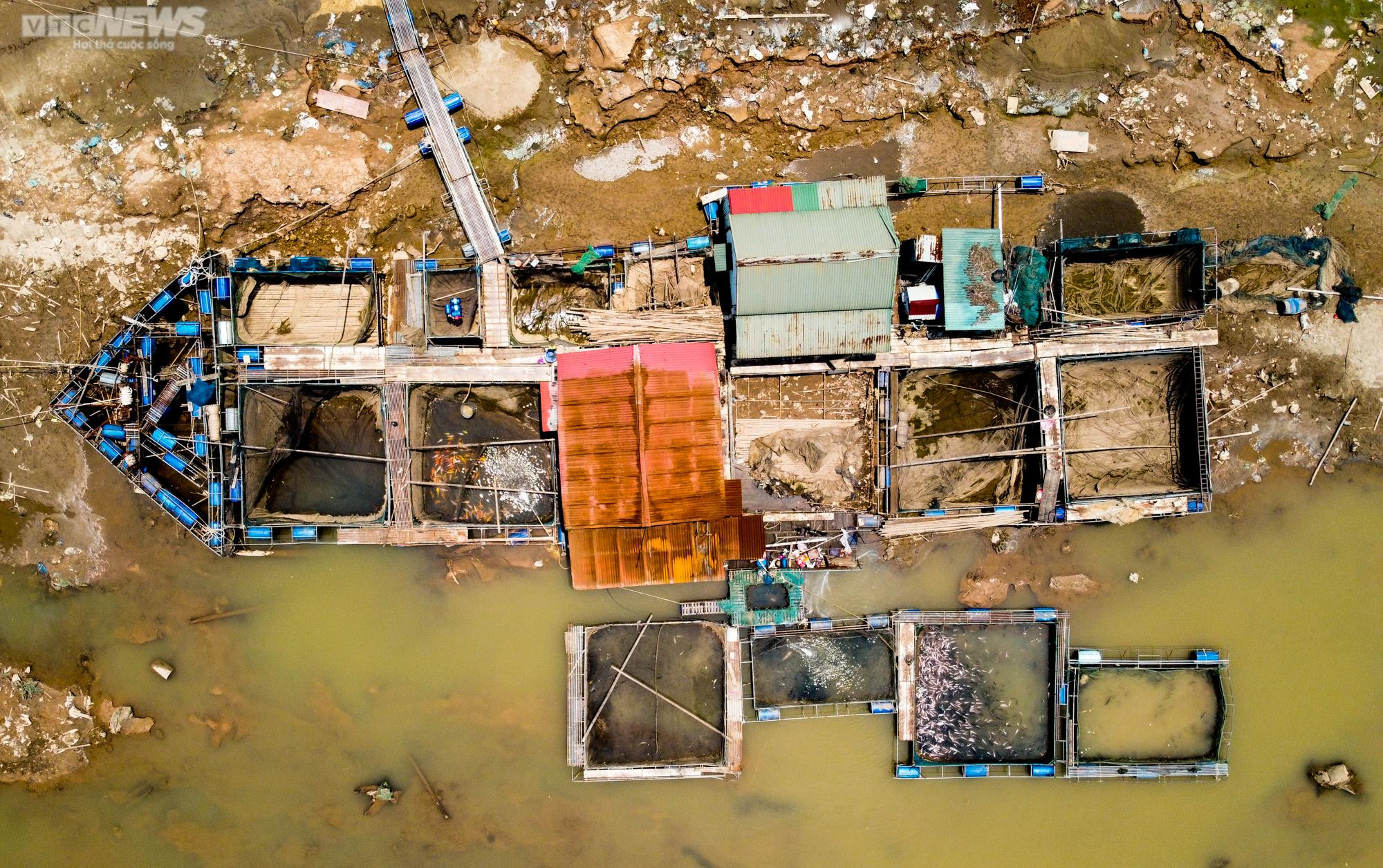 Sông Đà cạn trơ đáy: Người dân bất lực nhìn cá, hoa màu chết khô - 10