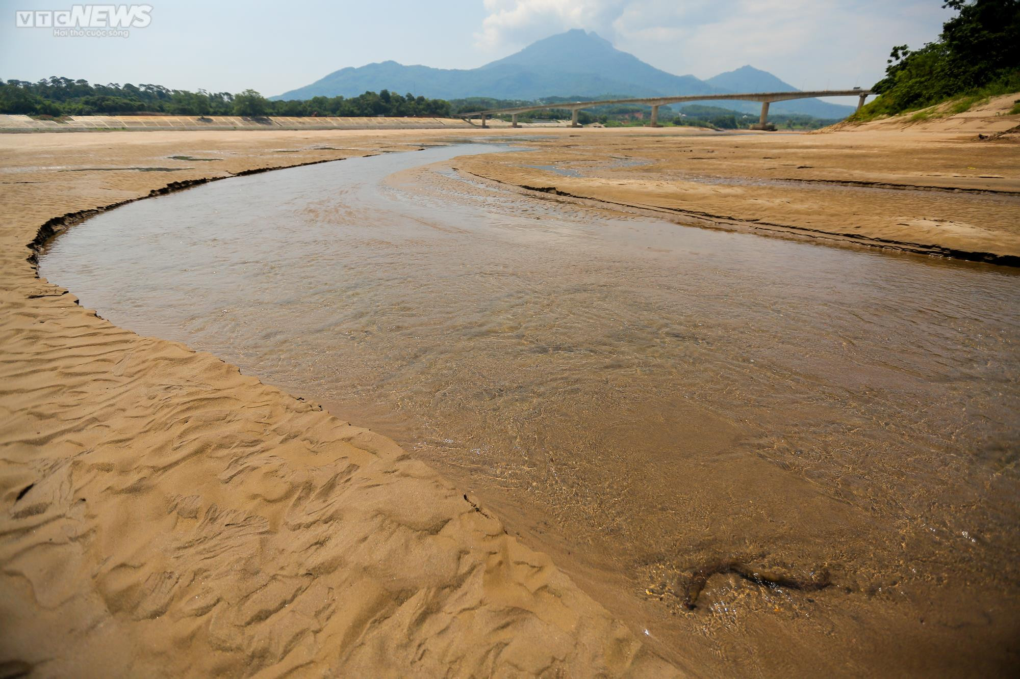 Sông Đà cạn trơ đáy: Người dân bất lực nhìn cá, hoa màu chết khô - 8