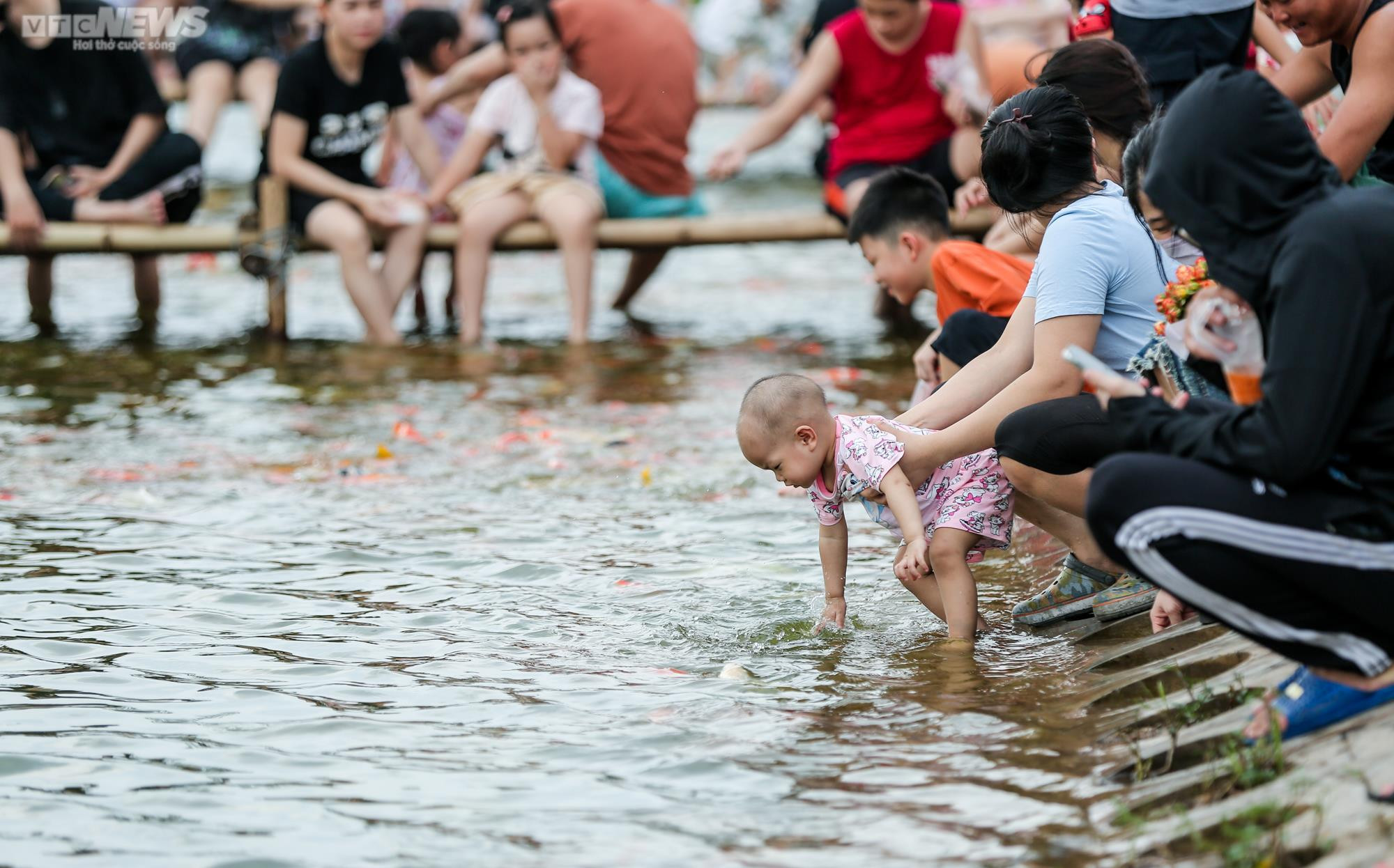 Người dân kéo đến trải nghiệm tại hồ cá Koi lớn nhất Hà Nội - 11