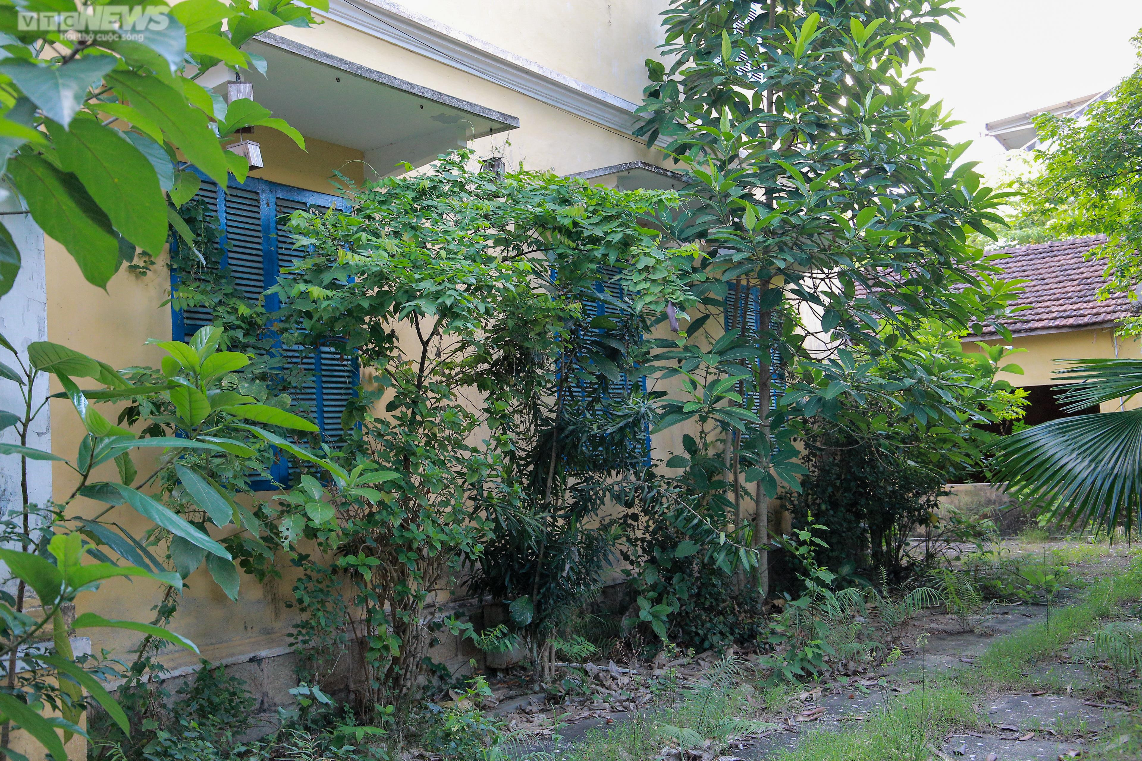 Cảnh hoang tàn trong căn nhà Hoàng Thái hậu cuối cùng của triều Nguyễn - 5