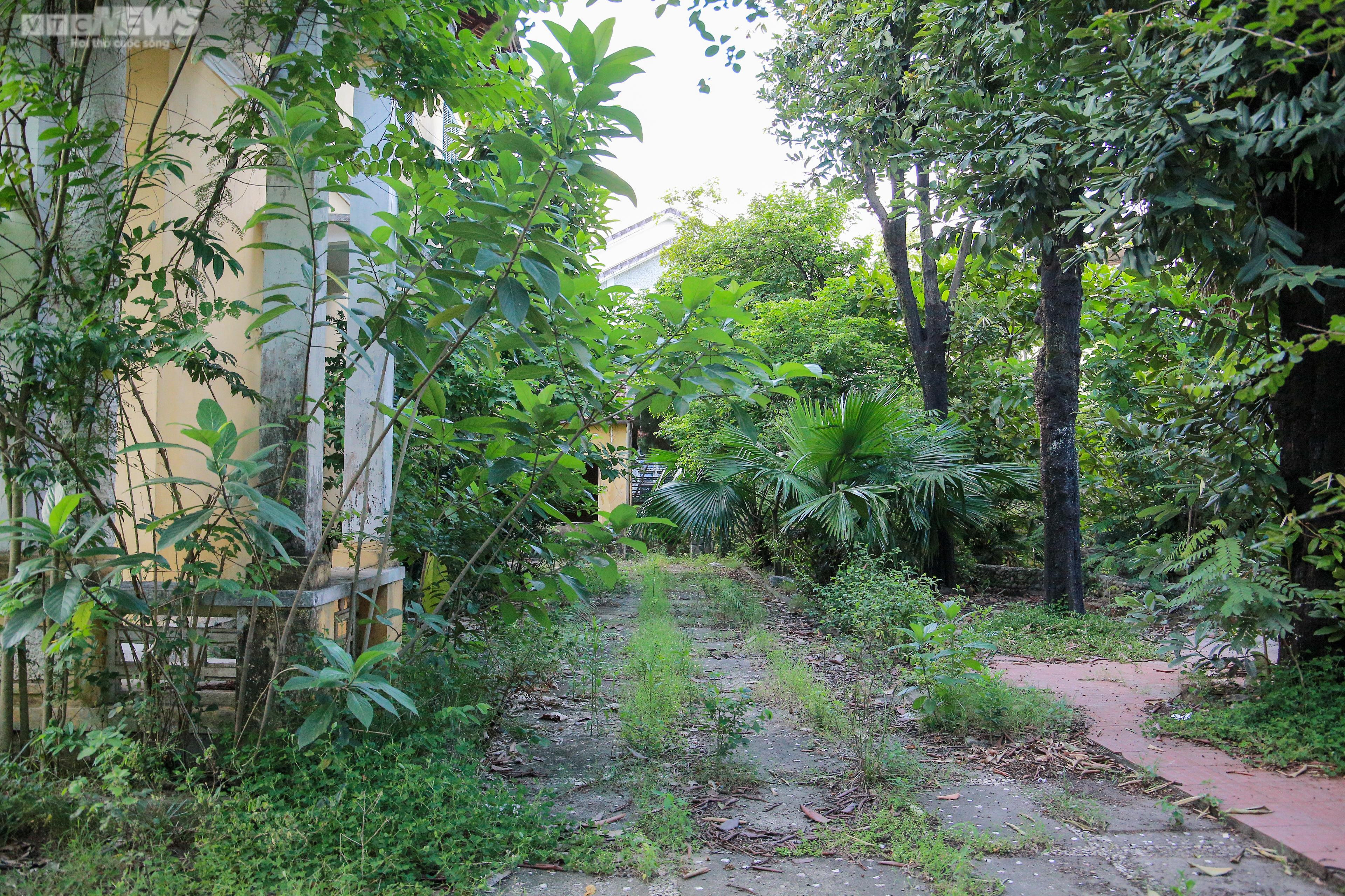 Cảnh hoang tàn trong căn nhà Hoàng Thái hậu cuối cùng của triều Nguyễn - 7