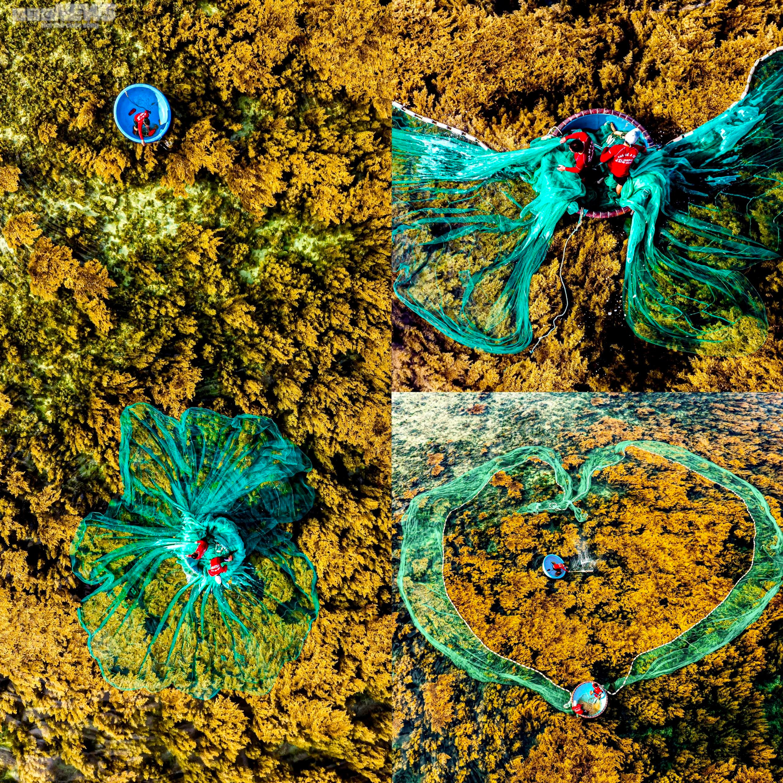 Bình Định đẹp lung linh qua ống kính tay máy đam mê du lịch - 8