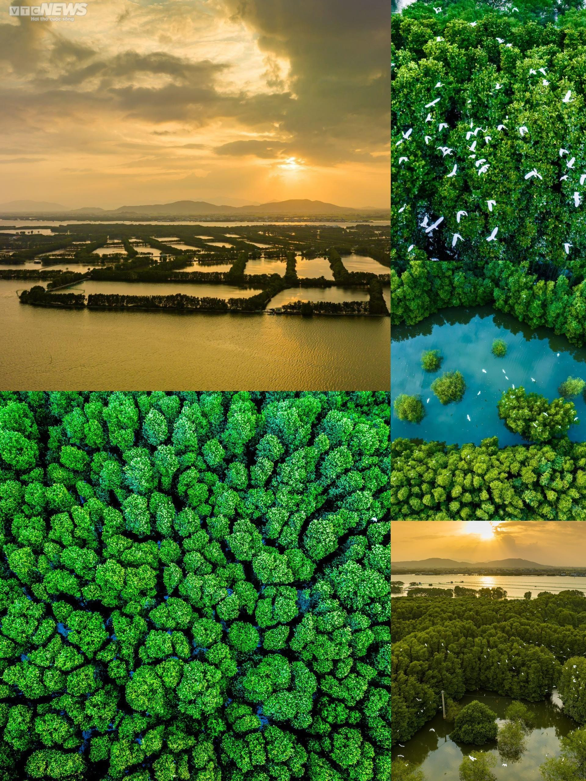 Bình Định đẹp lung linh qua ống kính tay máy đam mê du lịch - 6