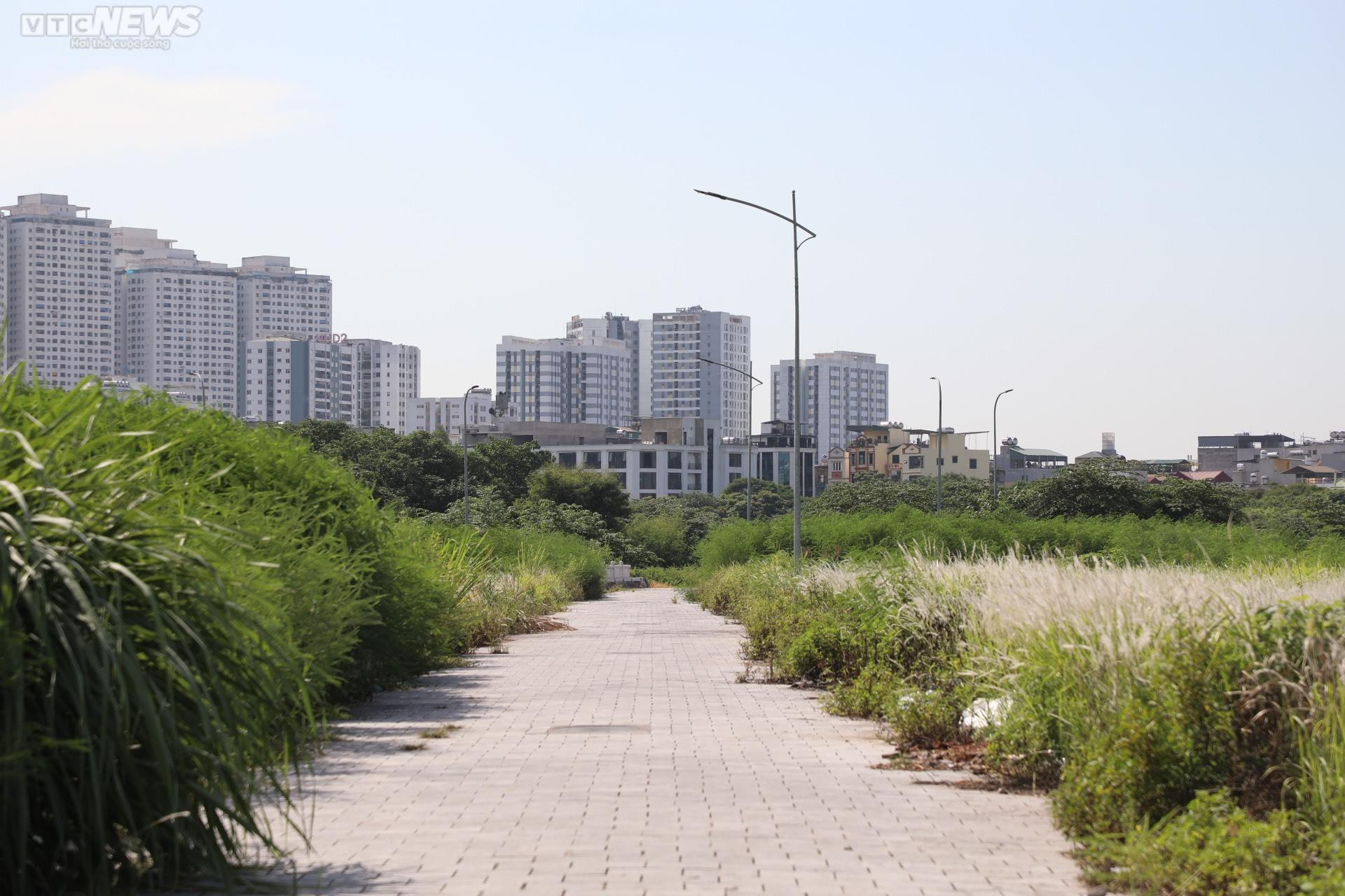 Sau 7 năm quy hoạch, công viên gần 100 ha thành nơi tập kết rác thải, dạy lái xe - 13