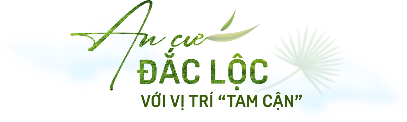 Hiện thực hóa giấc mơ giữa lòng thành phố thịnh vượng - 6