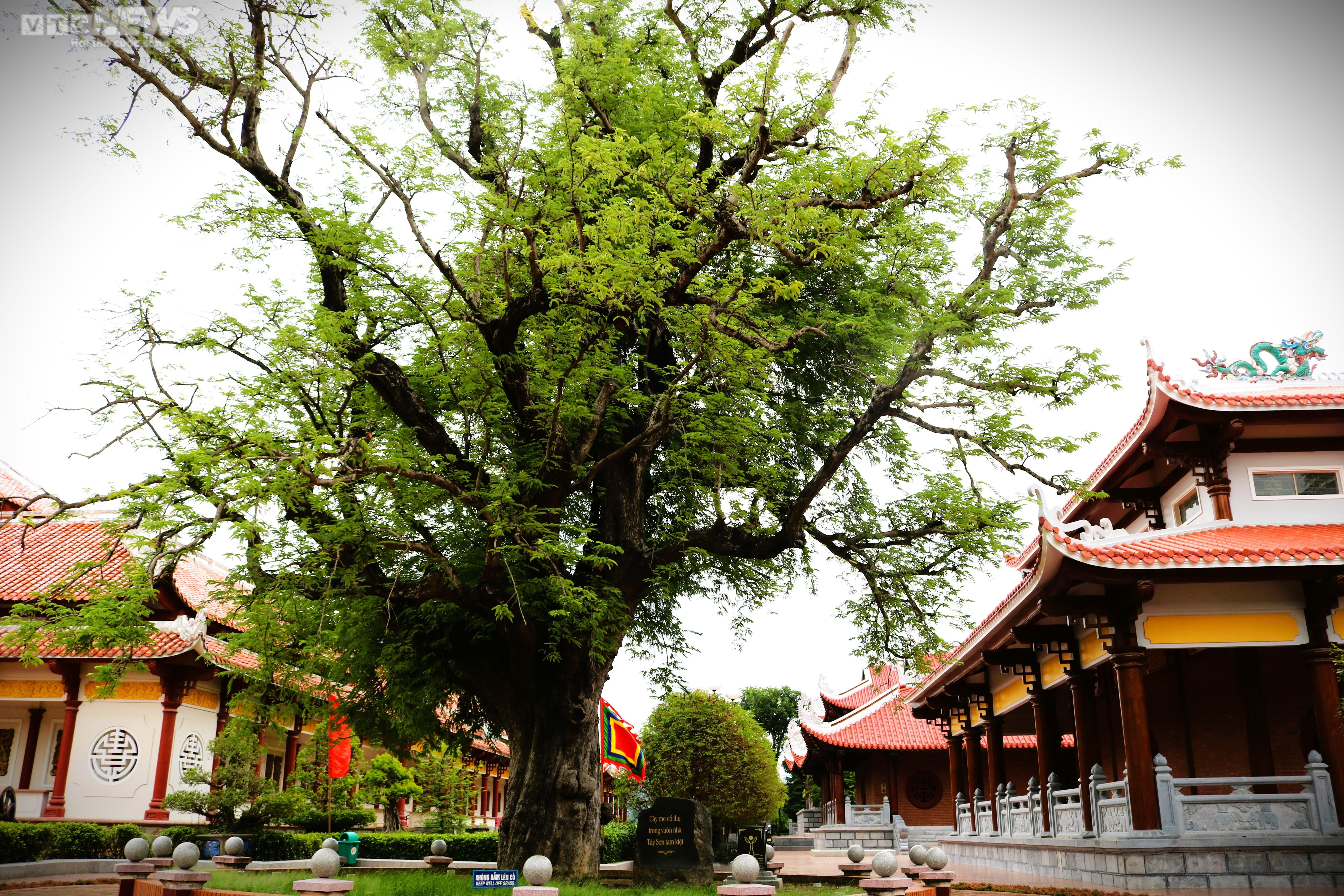 Linh thiêng nơi sinh Vua Quang Trung - 3