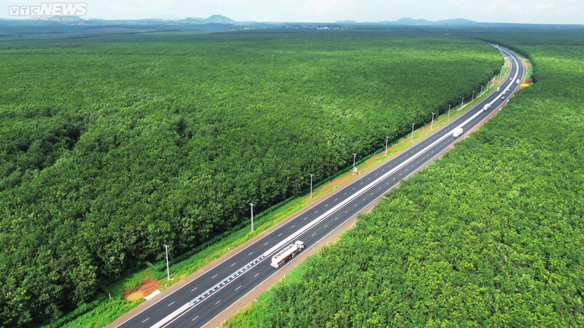 Mê mẩn rừng cao su xanh mướt ôm trọn cao tốc Dầu Giây - Phan Thiết - 11
