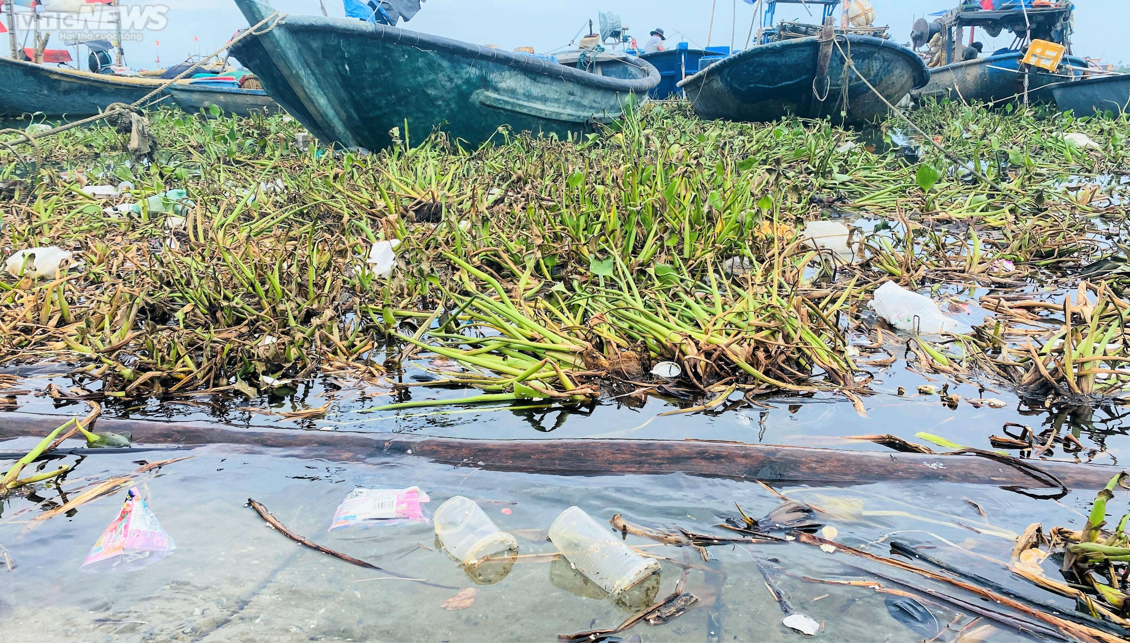  Rác thải bủa vây cảng cá An Lương ở Quảng Nam - 2