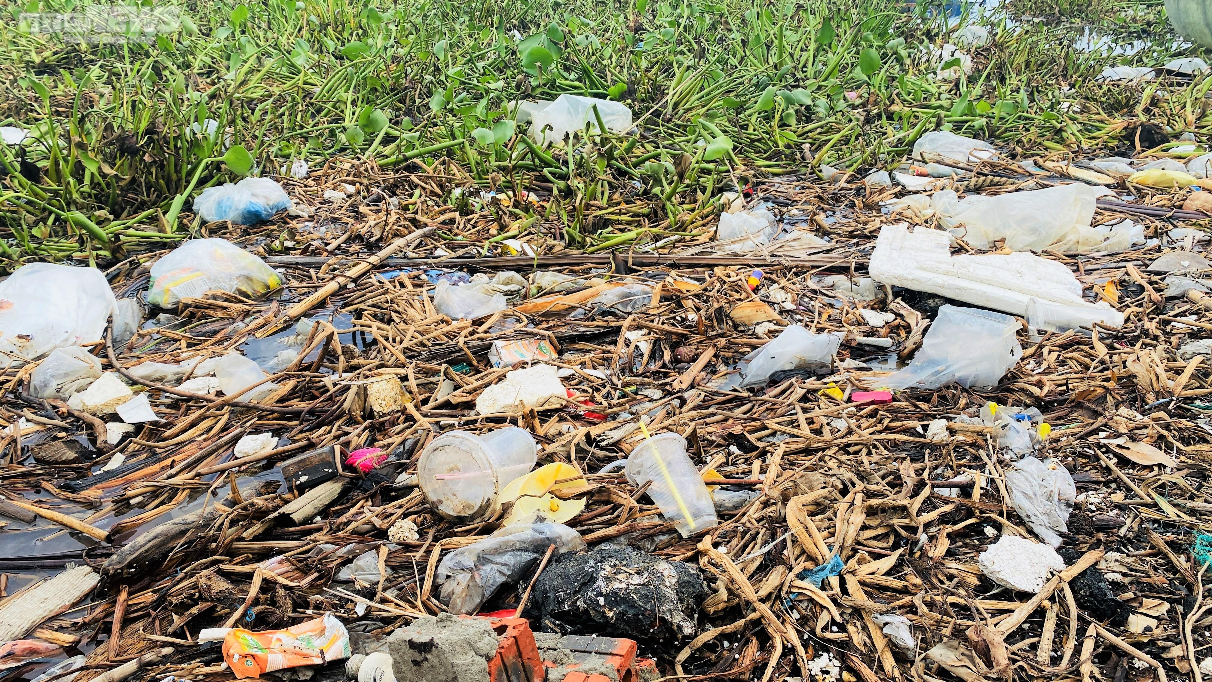  Rác thải bủa vây cảng cá An Lương ở Quảng Nam - 5