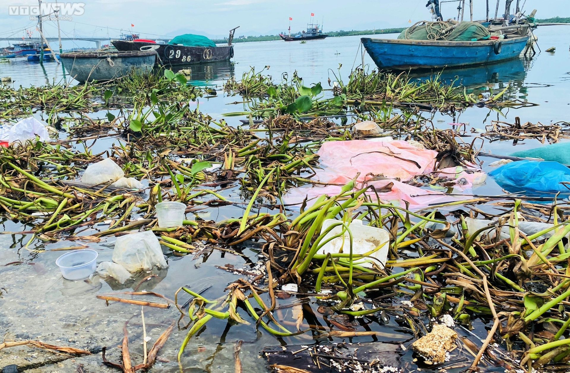  Rác thải bủa vây cảng cá An Lương ở Quảng Nam - 3