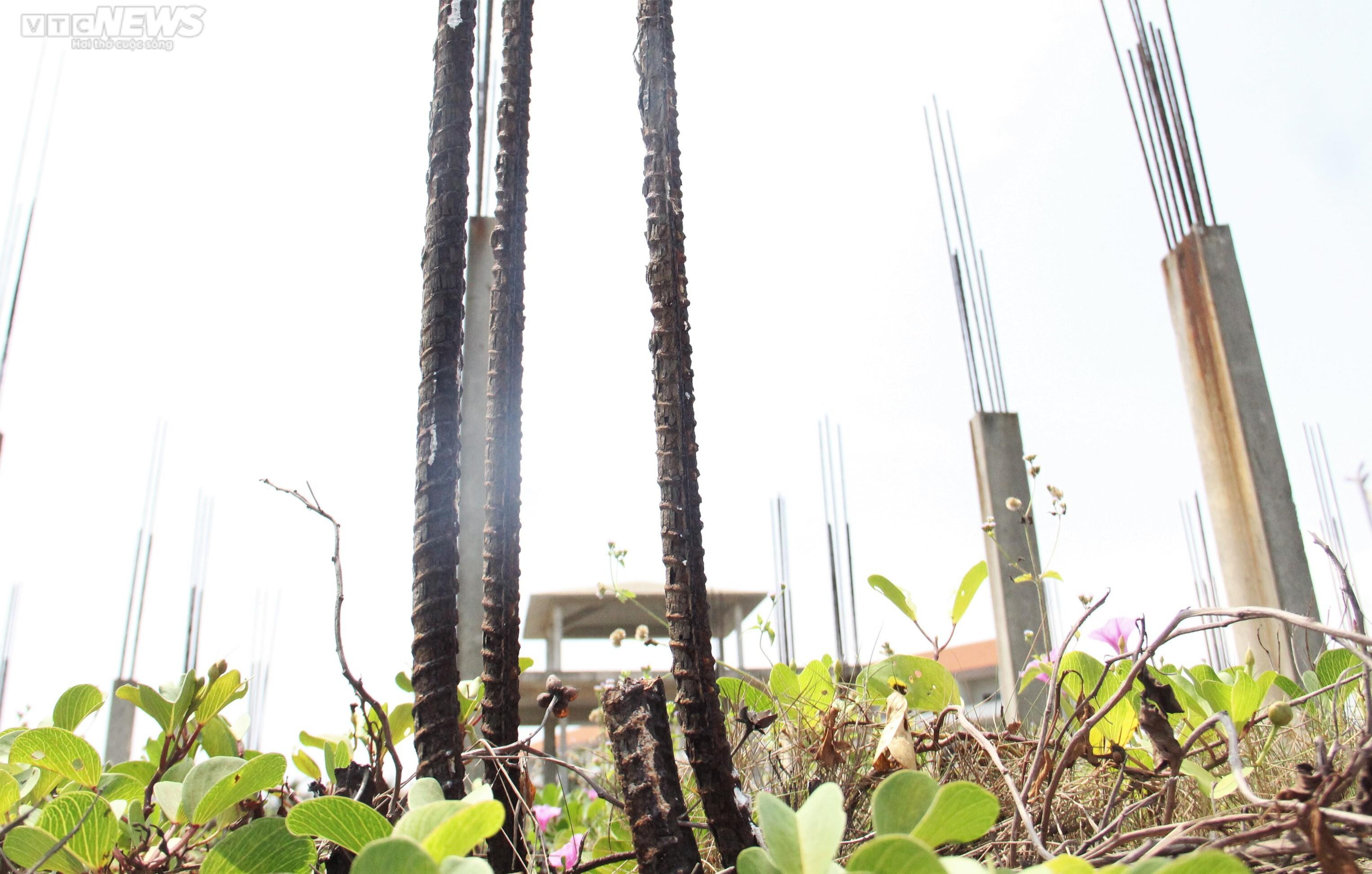 Khu du lịch 'đắp chiếu' gần 10 năm ở lô đất vàng ven biển Quảng Nam - 8