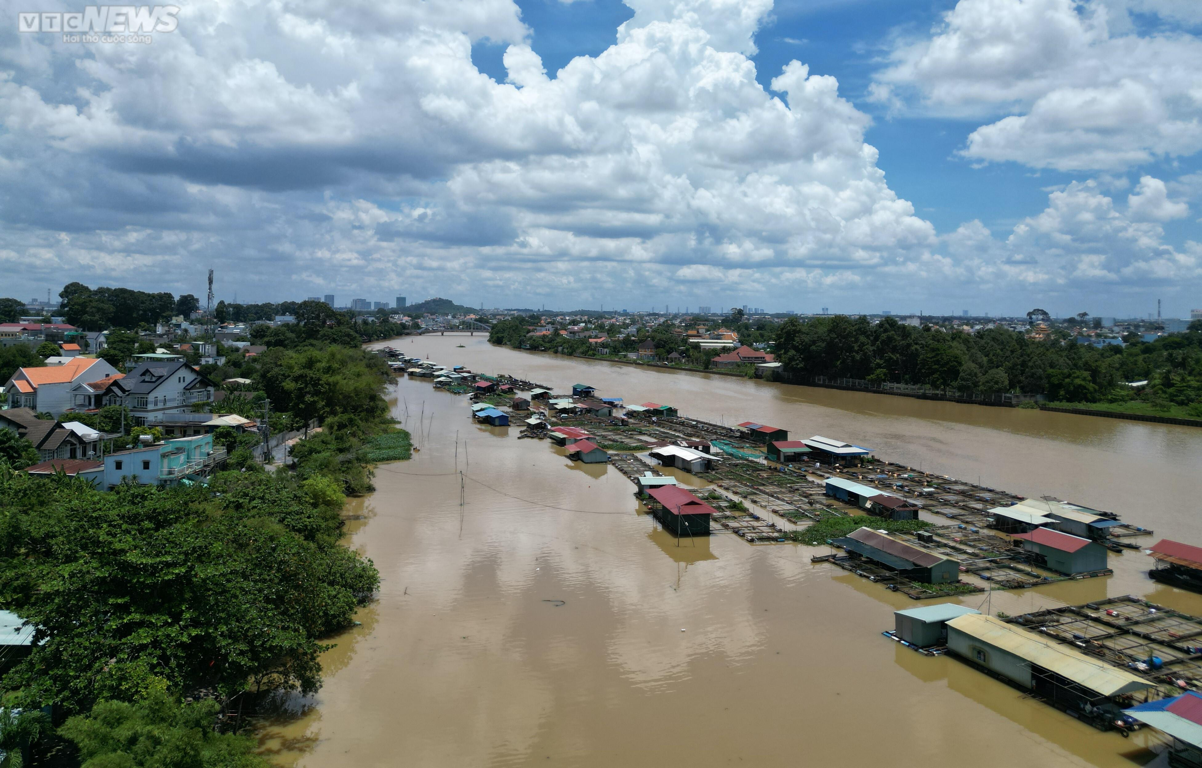 Đồng Nai: Cây cầu 1.500 tỷ đồng khởi công hơn nửa năm vẫn ‘nằm im’ - 2