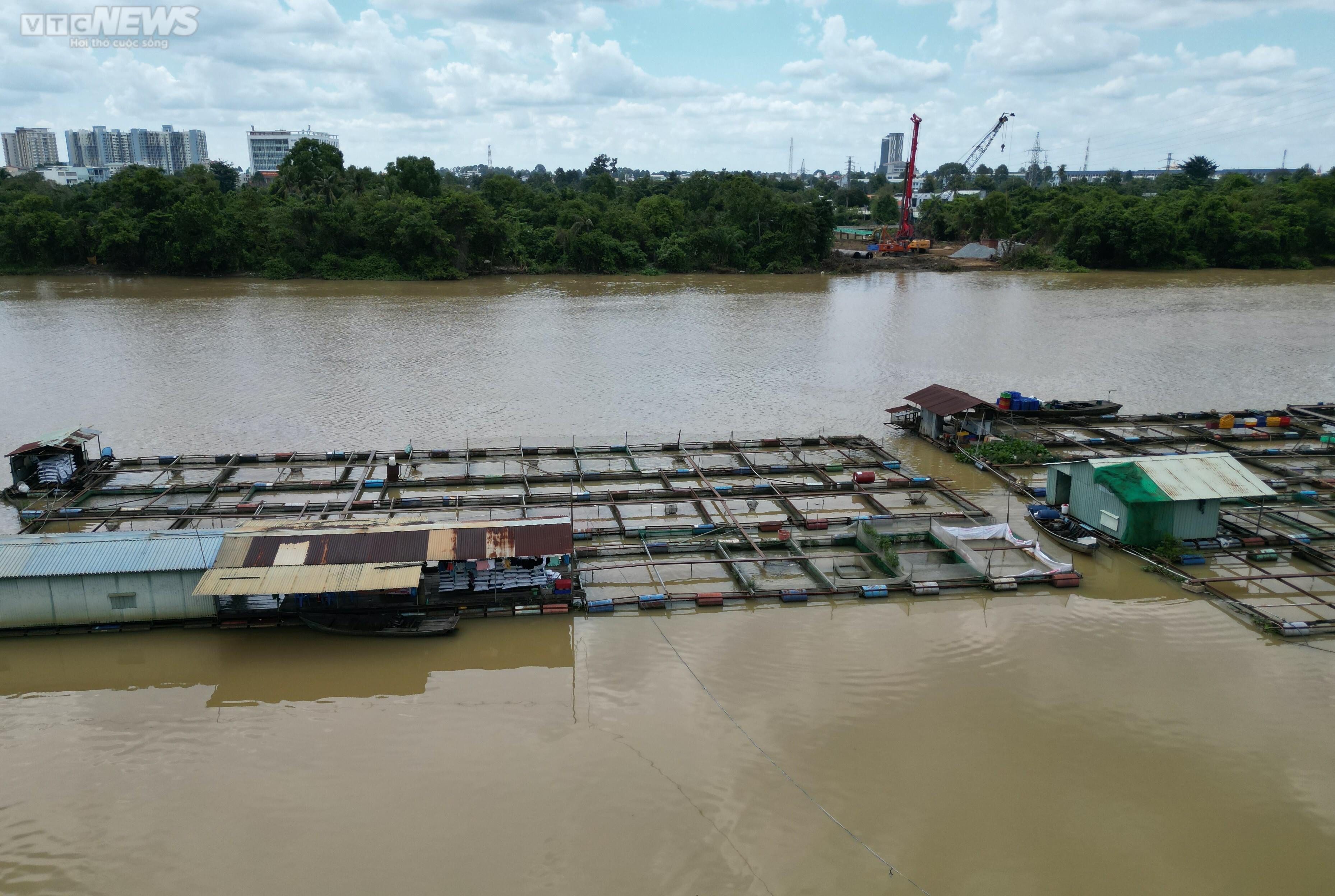 Đồng Nai: Cây cầu 1.500 tỷ đồng khởi công hơn nửa năm vẫn ‘nằm im’ - 3