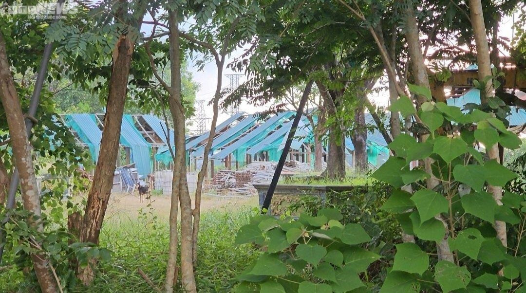 Nhếch nhác dự án khu du lịch sinh thái 61 tỷ 'treo' hơn thập kỷ ở Huế - 8