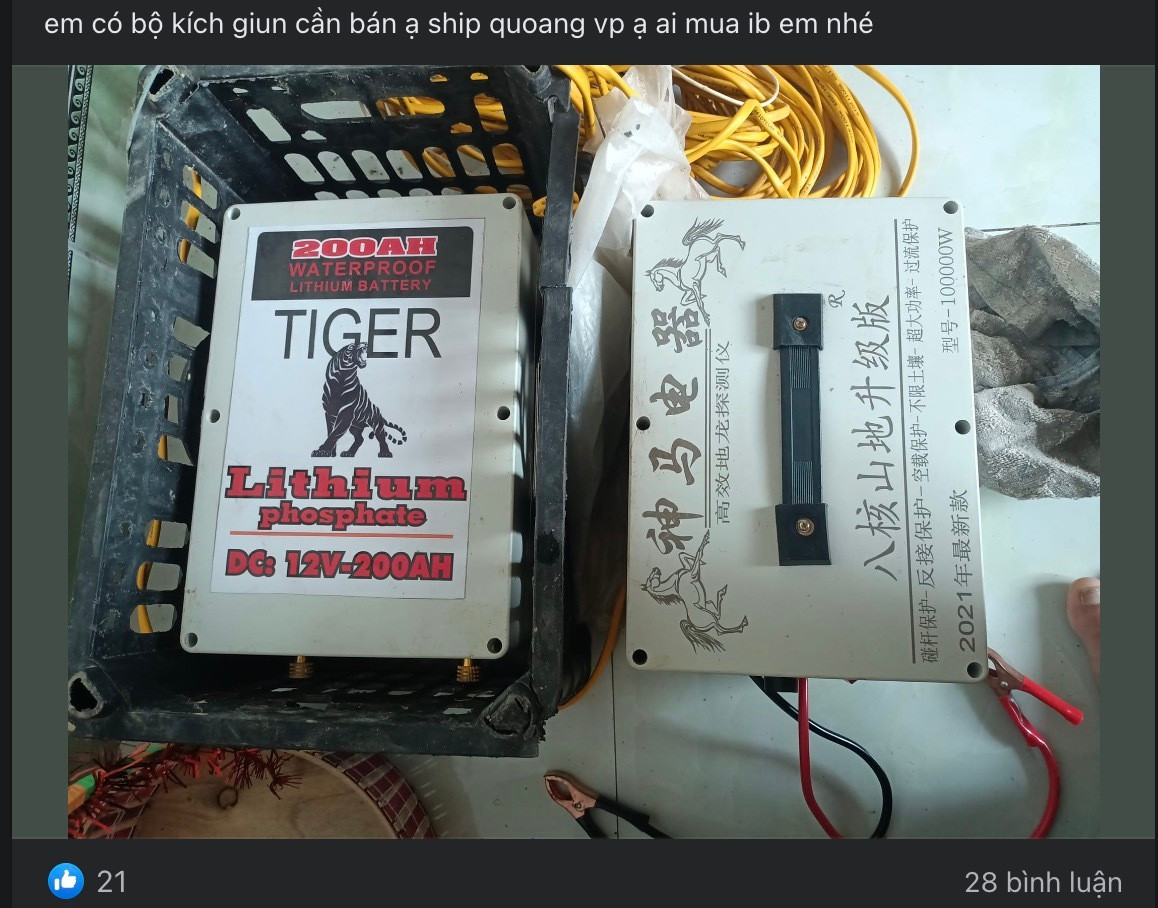 Thảm họa kích điện giun đất tàn phá vườn tược: Chiêu trò ‘đánh nhanh, thu gọn’ của đầu nậu - 3