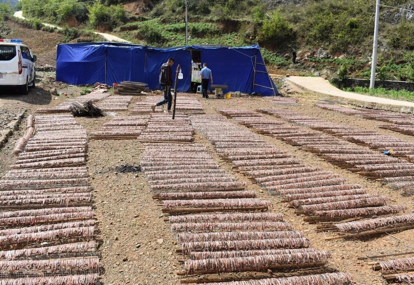 Một điểm gia công giun đất để chế thành địa long ở Uy Ninh, tỉnh Quý Châu của Trung Quốc. (Ảnh: Xinhua)