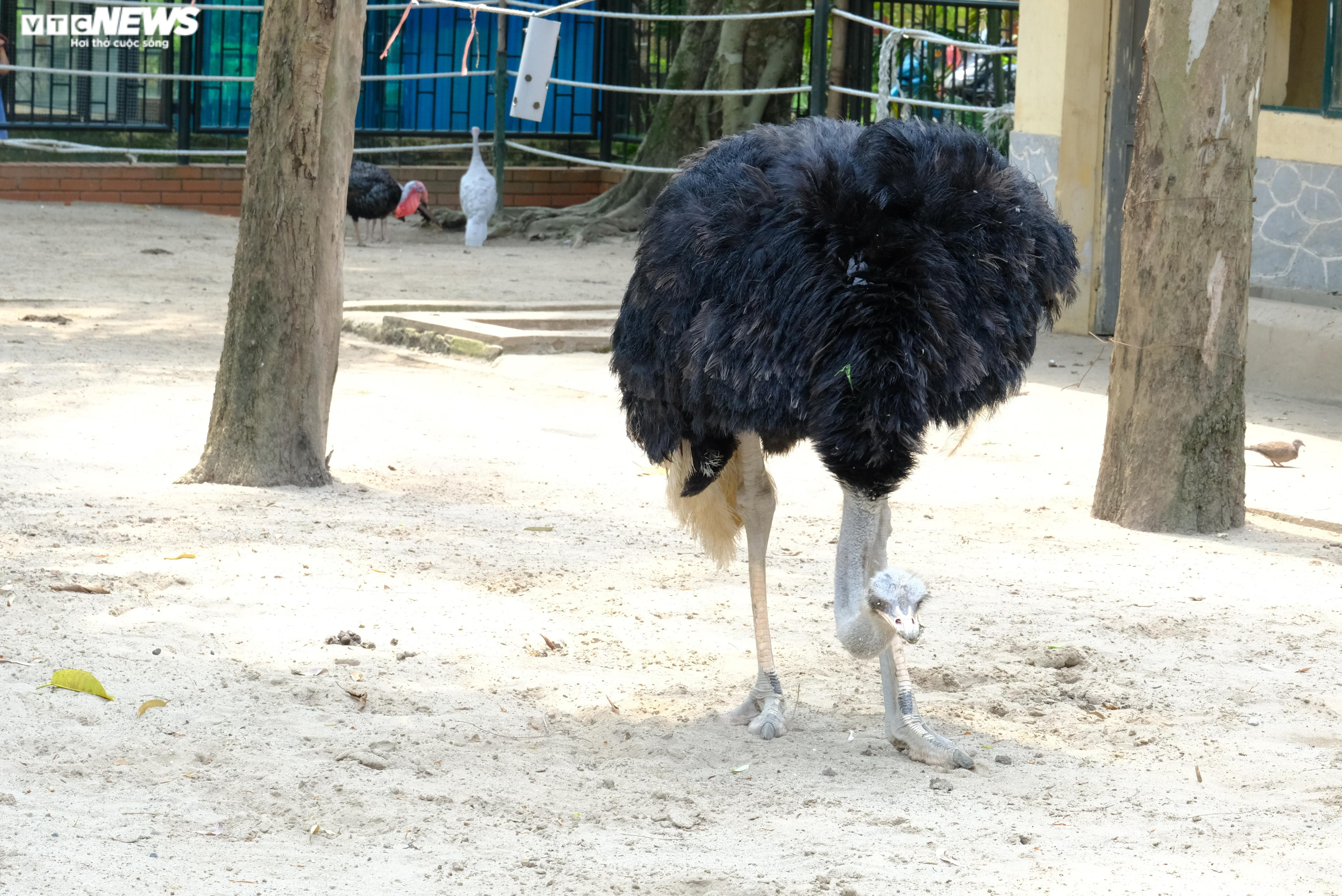 Phố trung tâm Hà Nội, Công viên Thủ Lệ đông nghẹt người đến vui chơi, chụp ảnh - 25