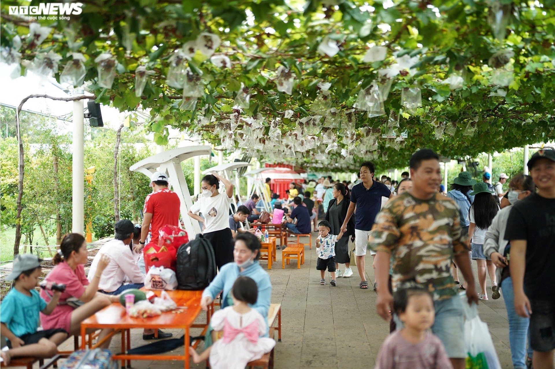 Du khách đội mưa, chen nhau đi chơi lễ 2/9 ở TP.HCM - 12