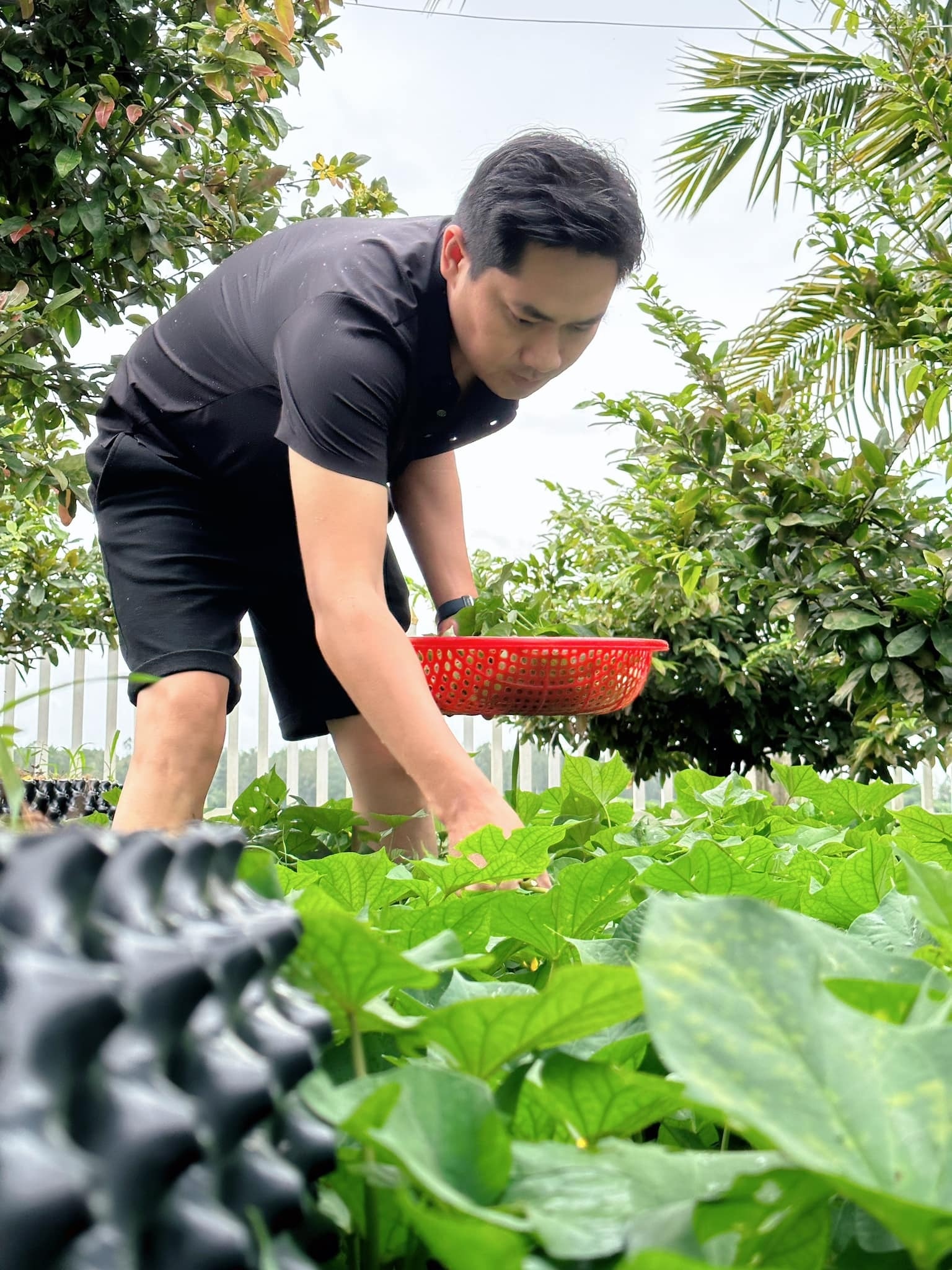 Sao Việt 4/9: Lý Nhã Kỳ thử váy cưới, Kim Tử Long hội ngộ vợ cũ thứ 2 - 12