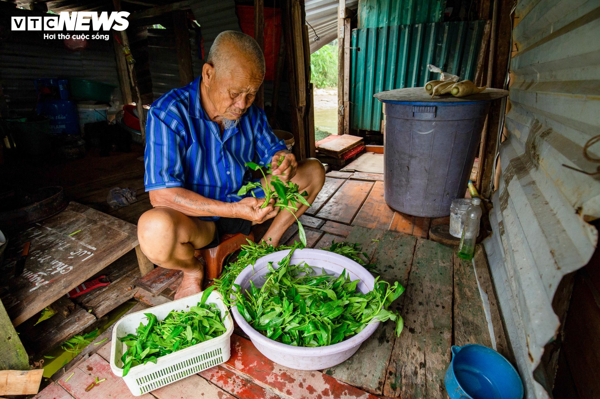 Chuyện tình đôi vợ chồng già hơn 50 năm sống dưới chân cầu Long Biên - 7