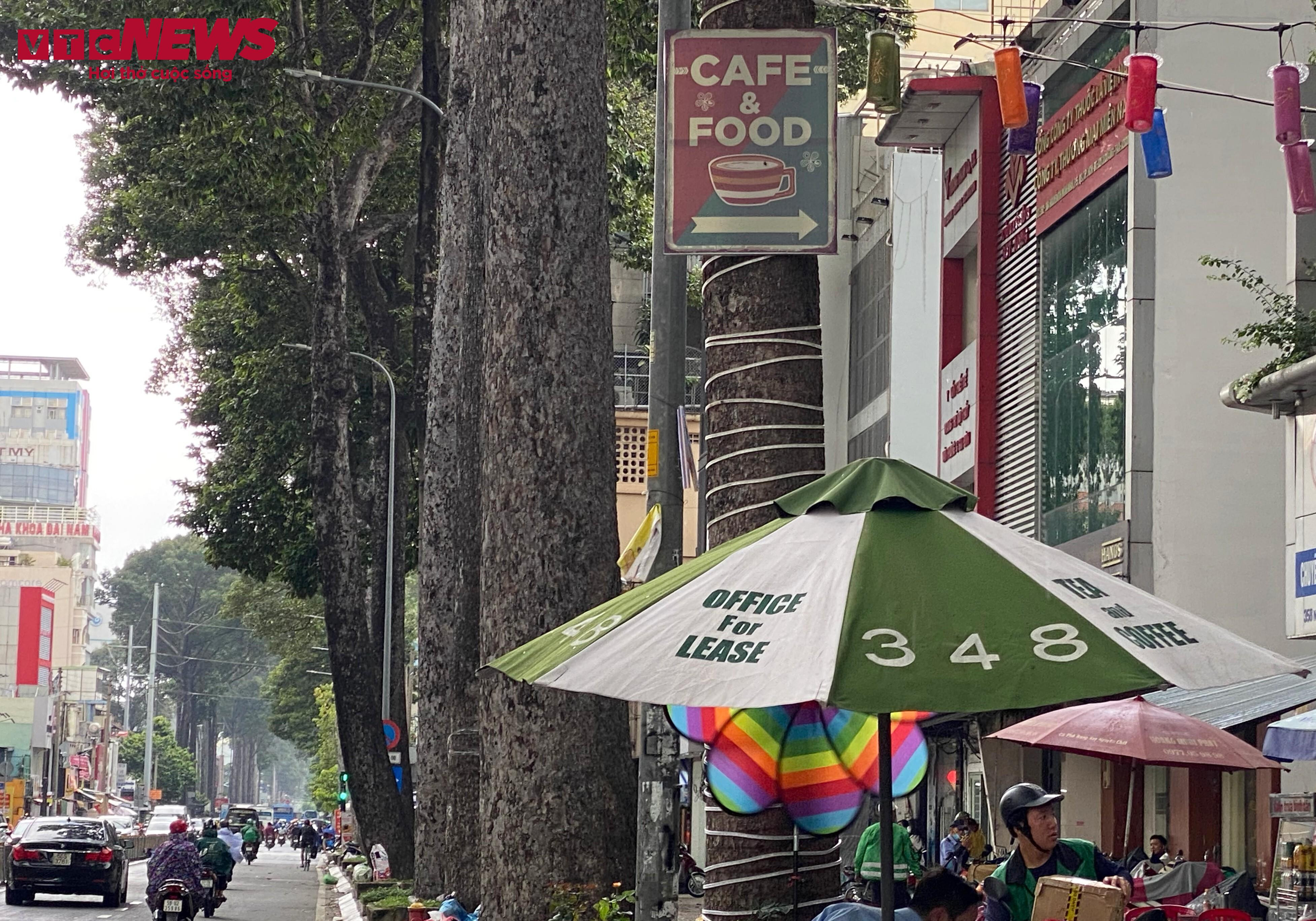 Cột điện, cây xanh ở TP.HCM bị băng rôn, biển quảng cáo bủa vây - 10