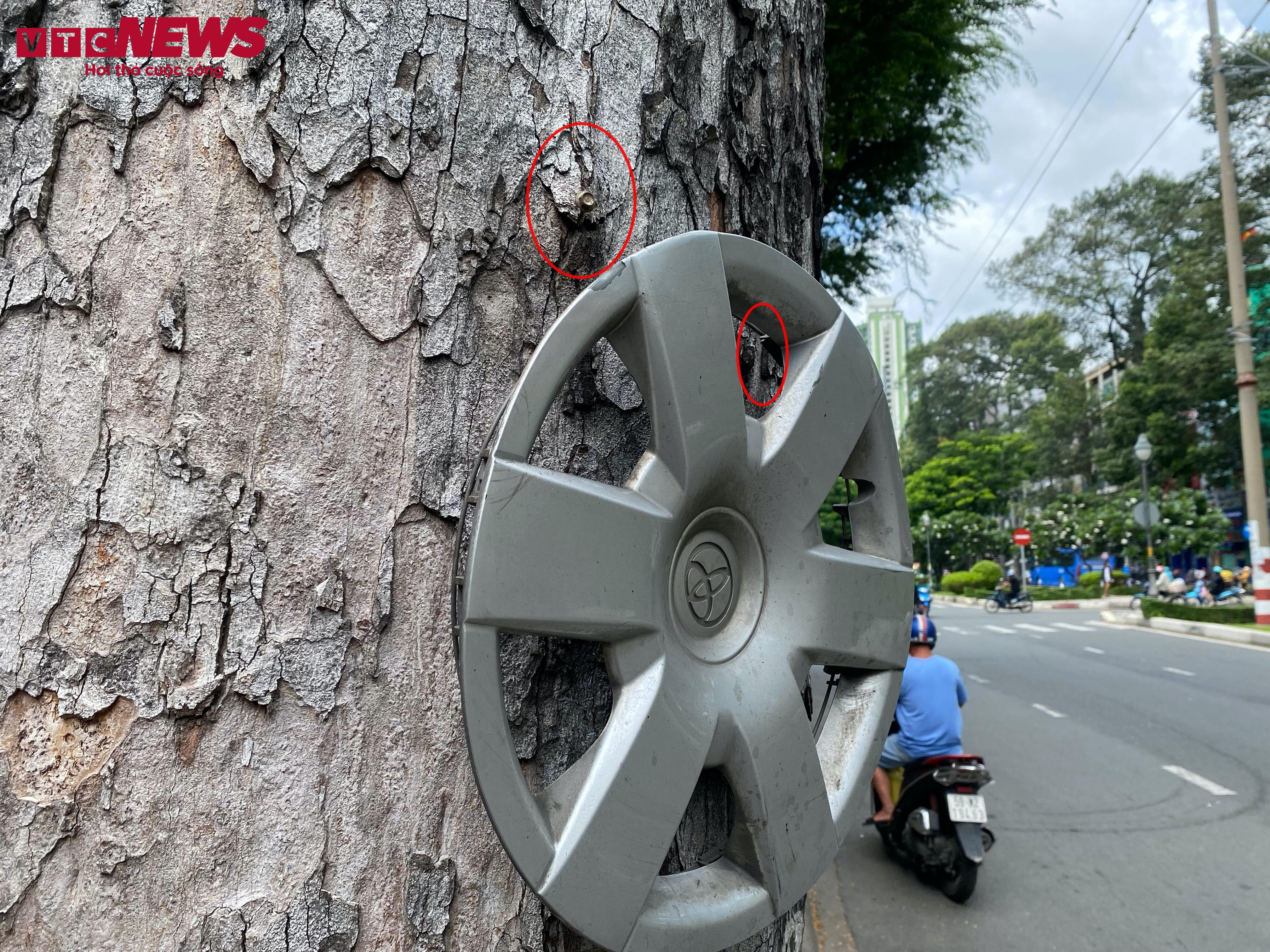 Cột điện, cây xanh ở TP.HCM bị băng rôn, biển quảng cáo bủa vây - 7