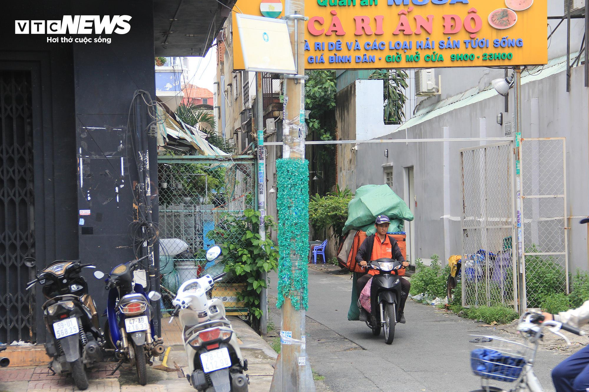 TP.HCM: Hơn 1.000 trụ điện quấn cỏ nhựa vẫn chi chít quảng cáo hút hầm cầu - 1