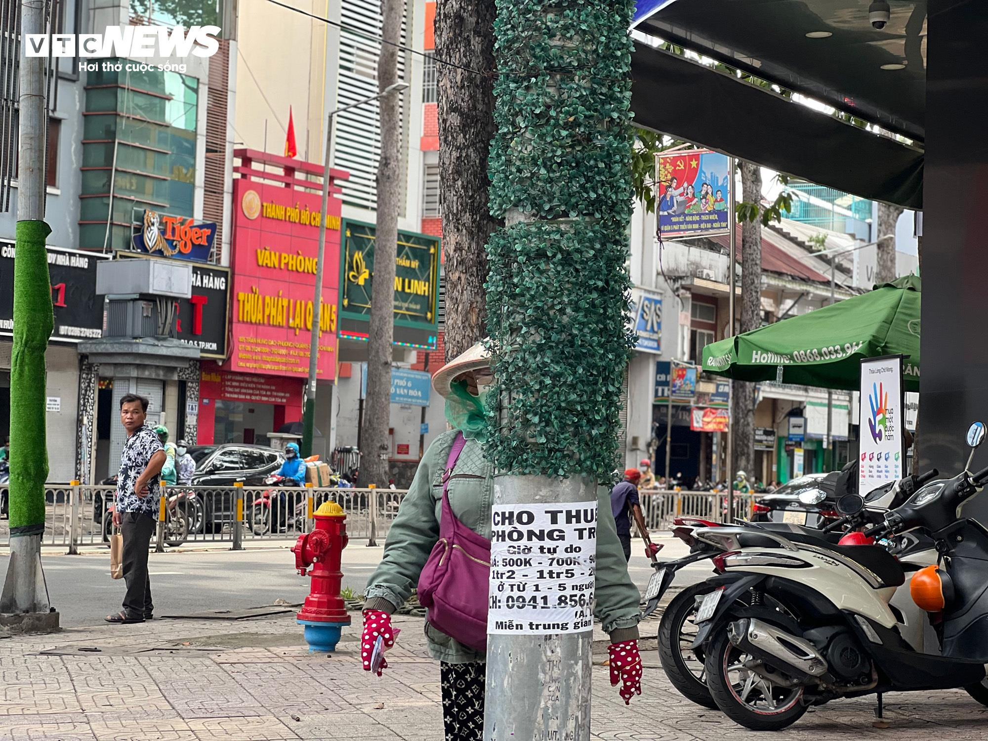 TP.HCM: Hơn 1.000 trụ điện quấn cỏ nhựa vẫn chi chít quảng cáo hút hầm cầu - 9