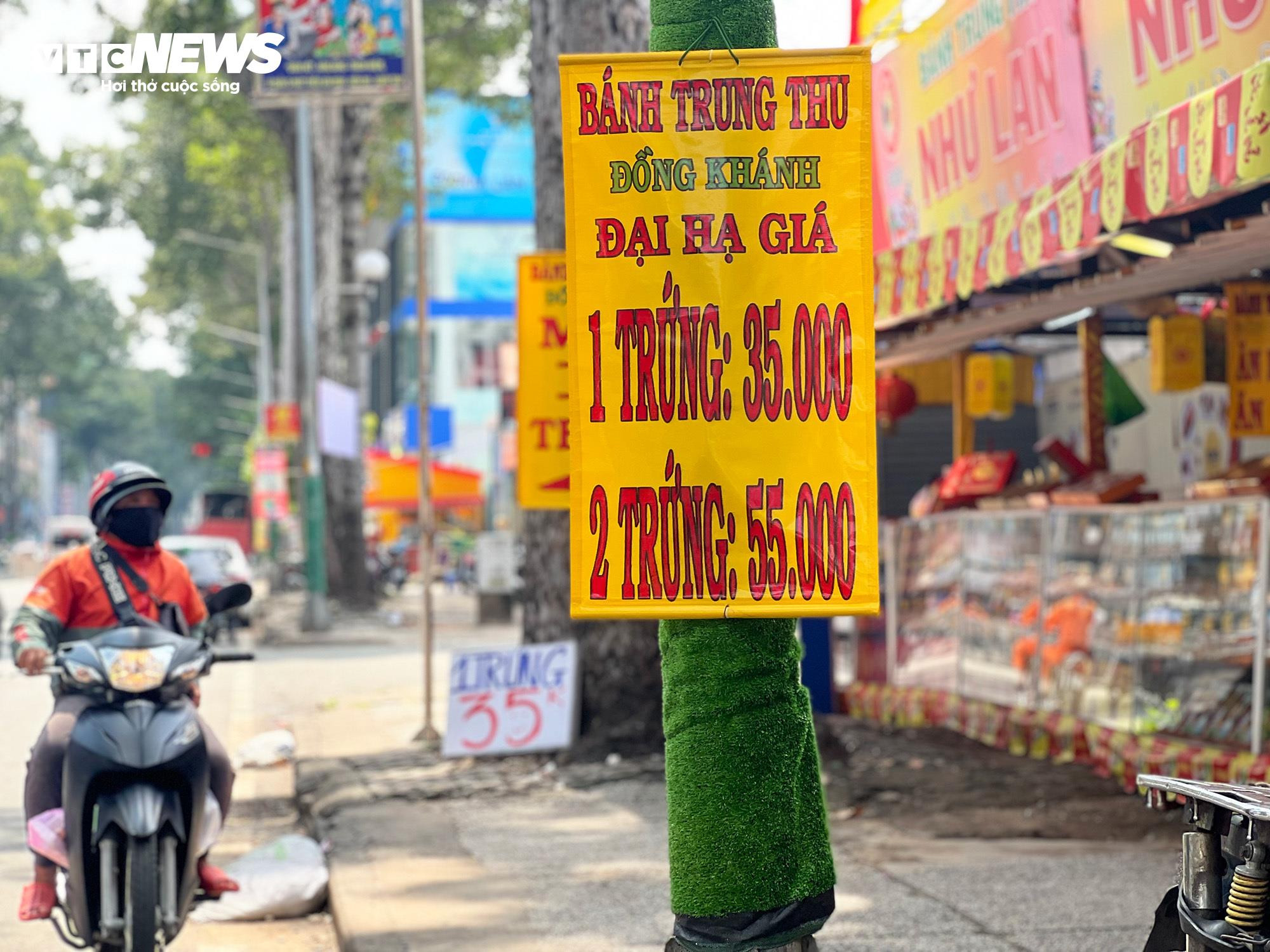 TP.HCM: Hơn 1.000 trụ điện quấn cỏ nhựa vẫn chi chít quảng cáo hút hầm cầu - 13