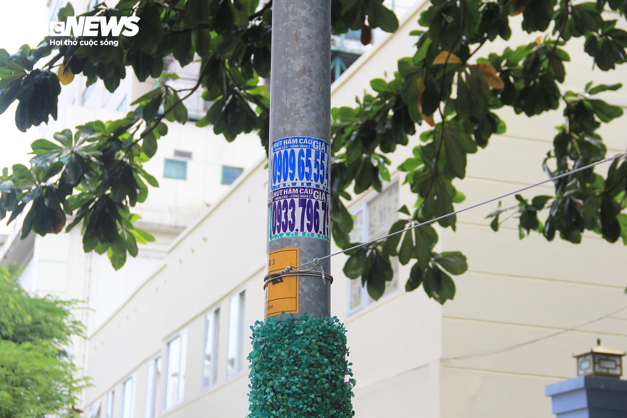 TP.HCM: Hơn 1.000 trụ điện quấn cỏ nhựa vẫn chi chít quảng cáo hút hầm cầu - 6