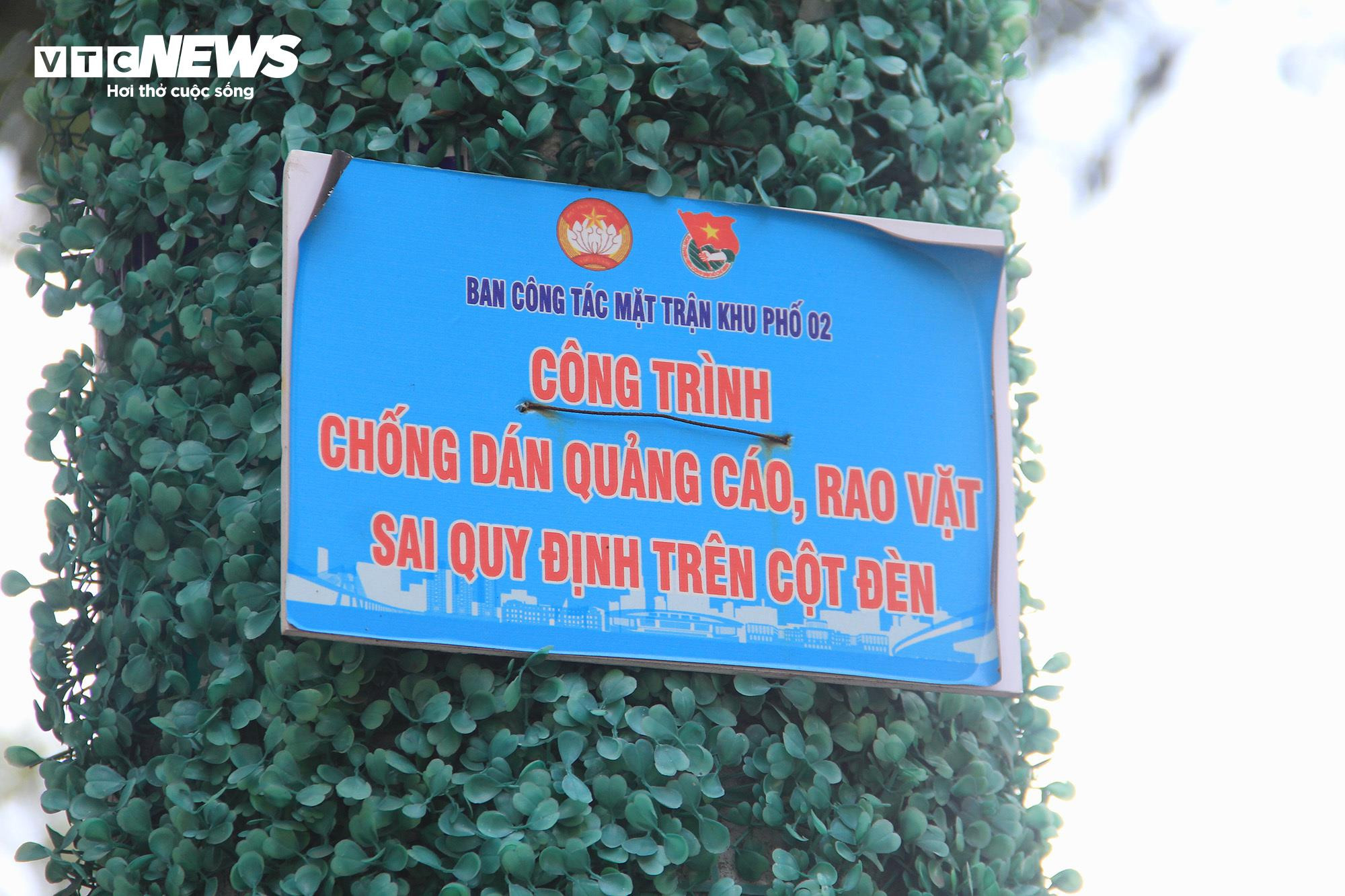 TP.HCM: Hơn 1.000 trụ điện quấn cỏ nhựa vẫn chi chít quảng cáo hút hầm cầu - 5