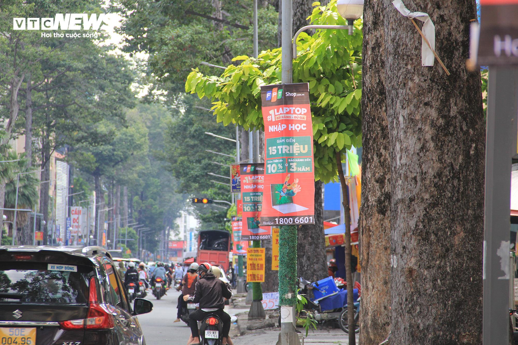 TP.HCM: Hơn 1.000 trụ điện quấn cỏ nhựa vẫn chi chít quảng cáo hút hầm cầu - 12