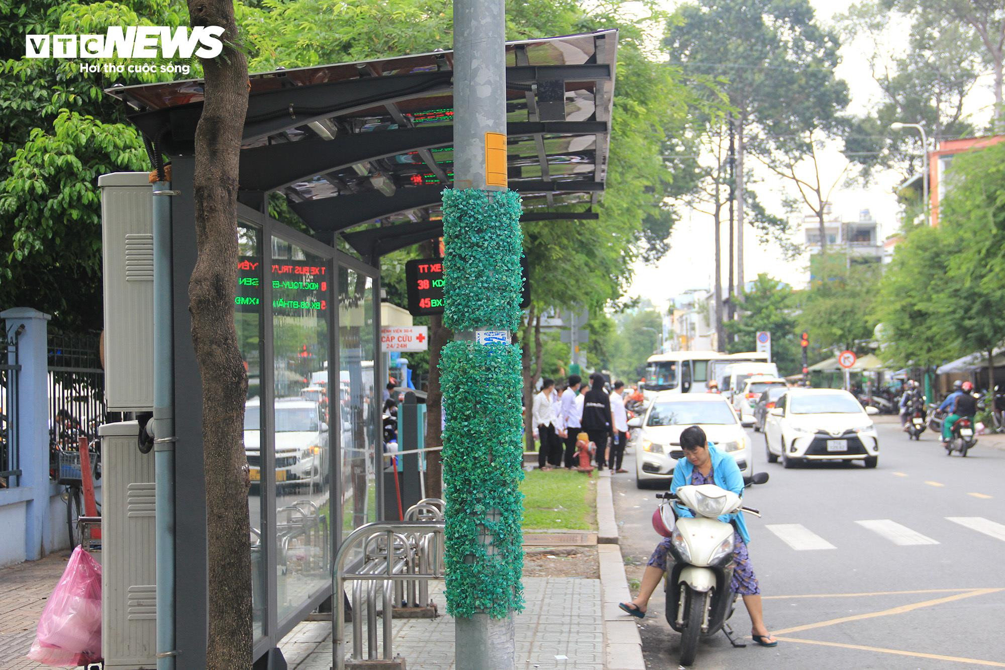 TP.HCM: Hơn 1.000 trụ điện quấn cỏ nhựa vẫn chi chít quảng cáo hút hầm cầu - 2