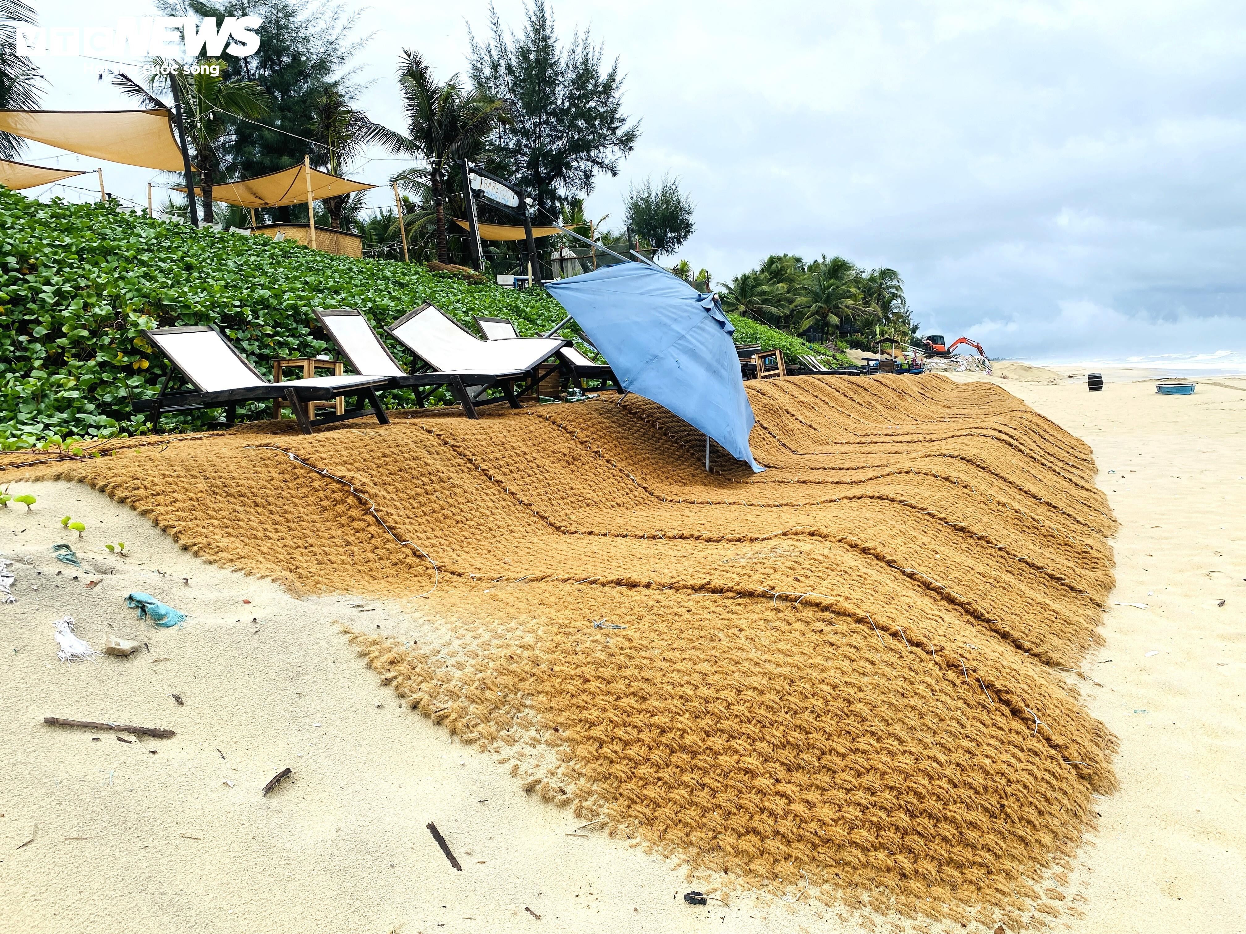 Đội mưa 'vá' bờ biển Hội An trước khi áp thấp nhiệt đới đổ bộ vào đất liền - 8