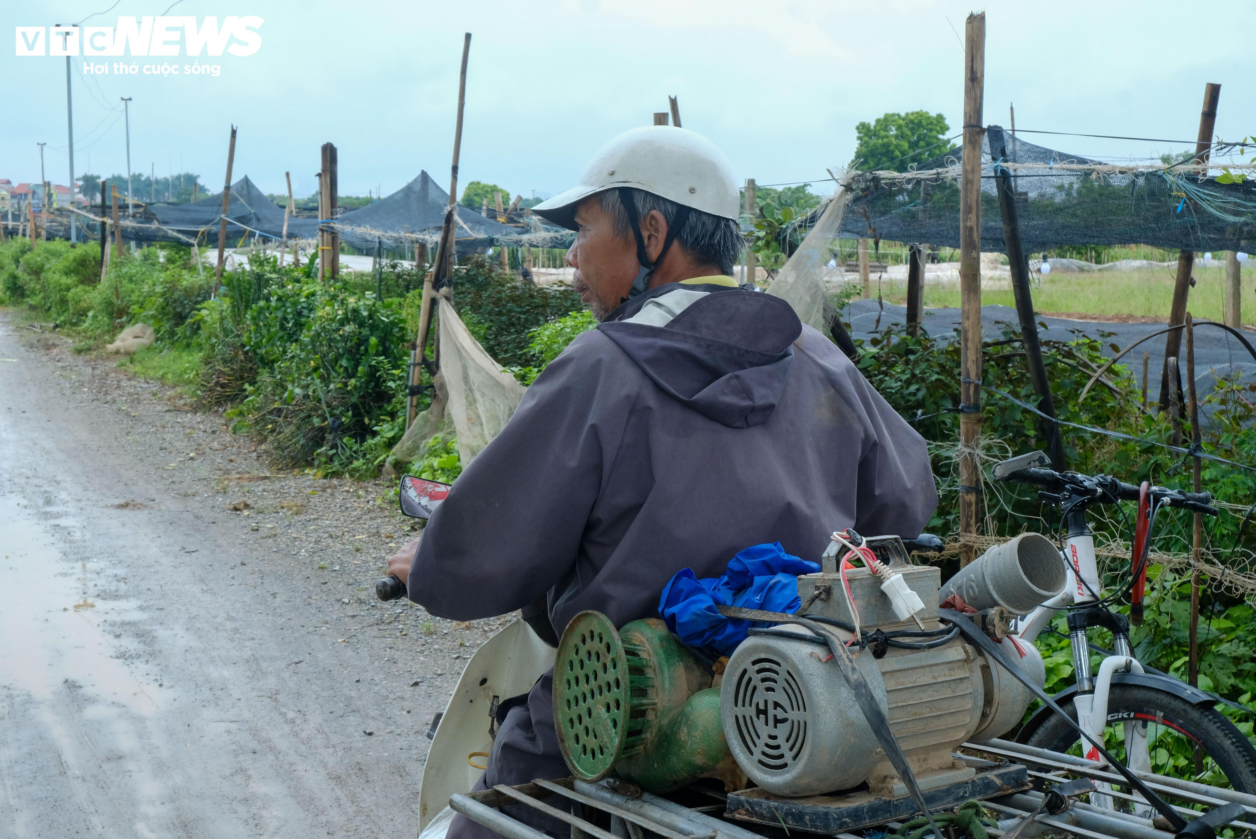 Hà Nội: Làng hoa Tây Tựu lao đao vì ngập, người dân gấp rút xả nước cứu vườn - 11